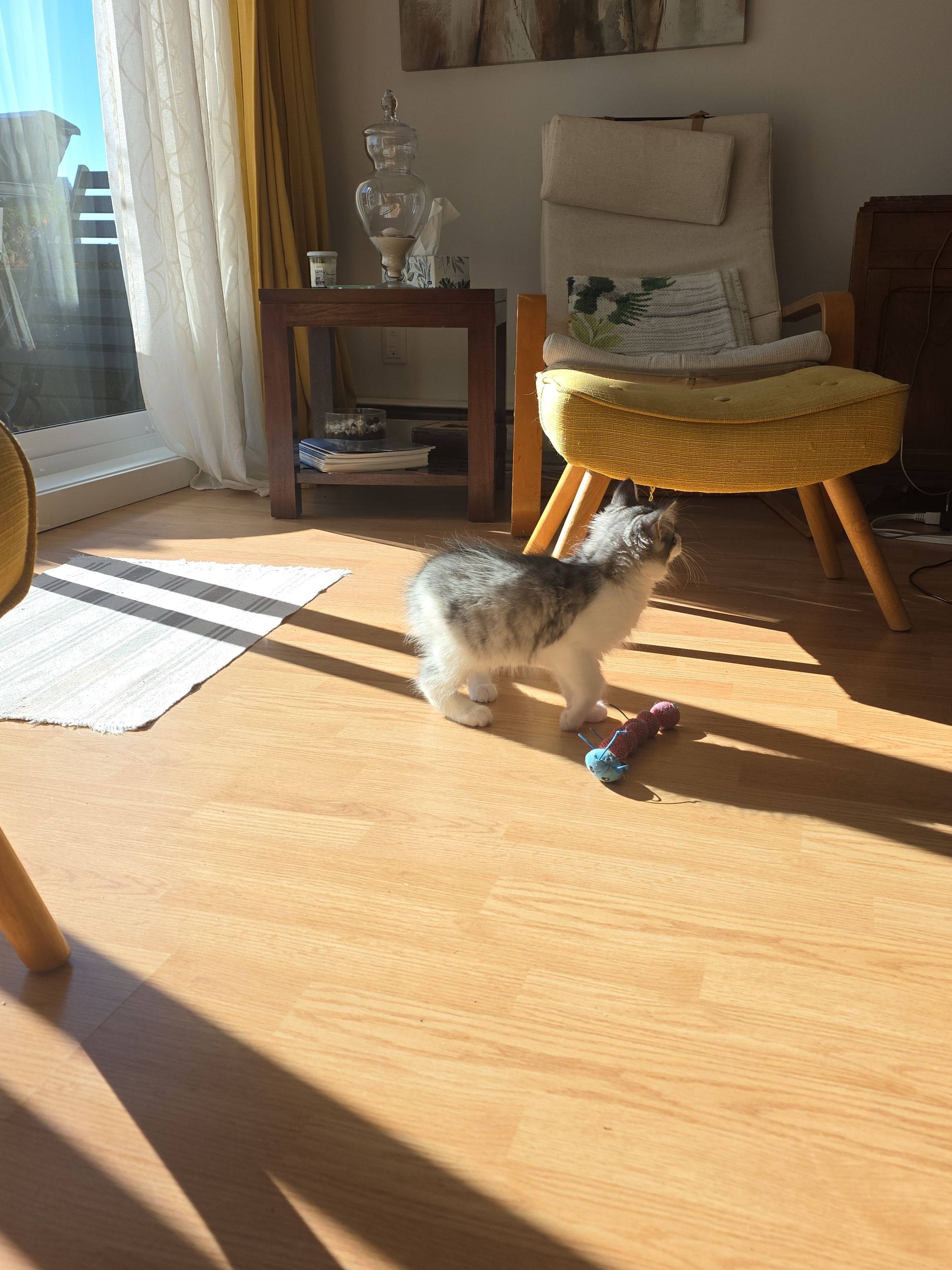 image-7