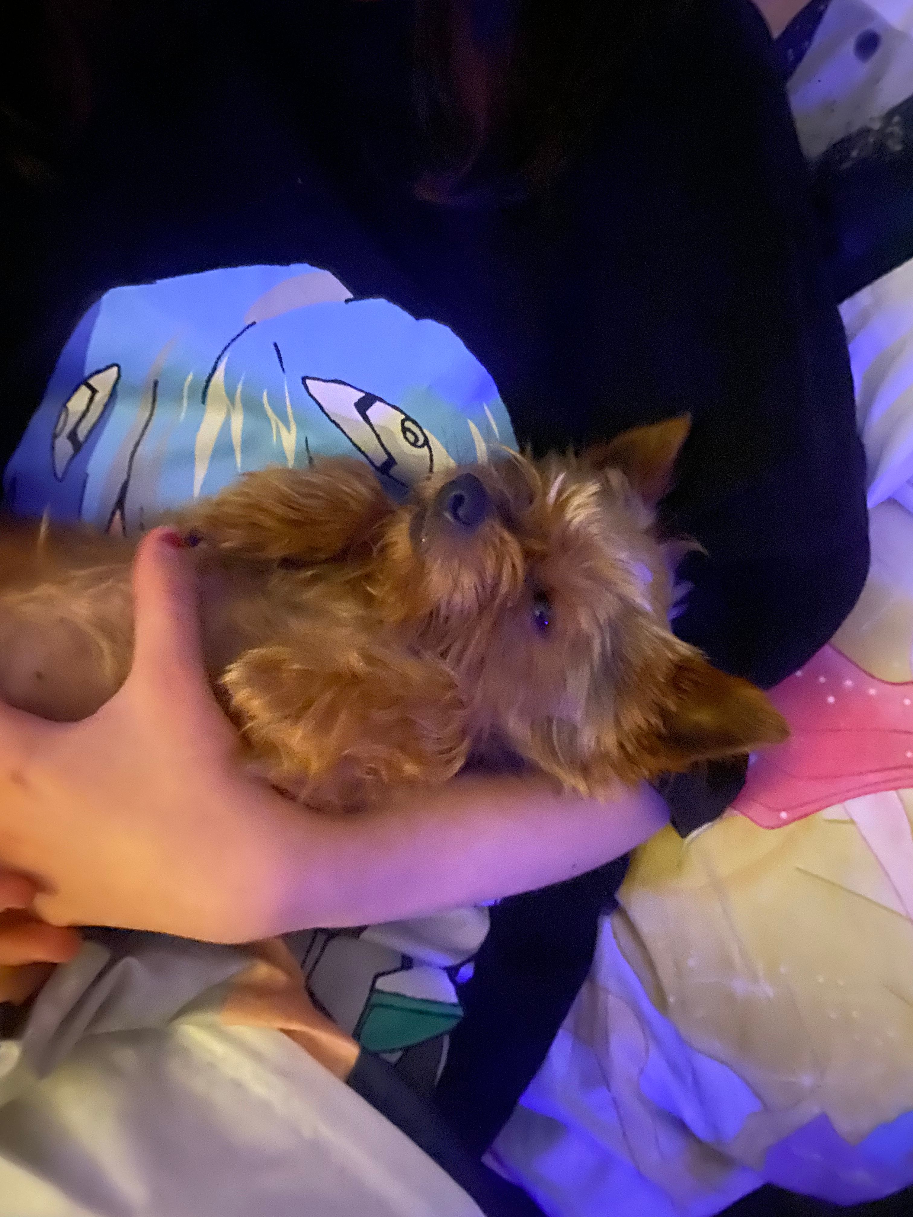 image-8