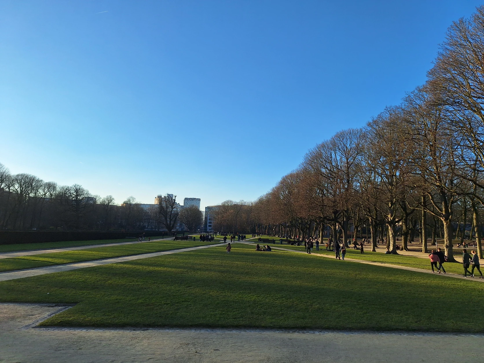 image-11
