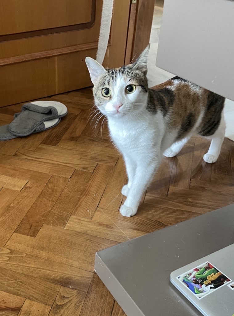 image-6