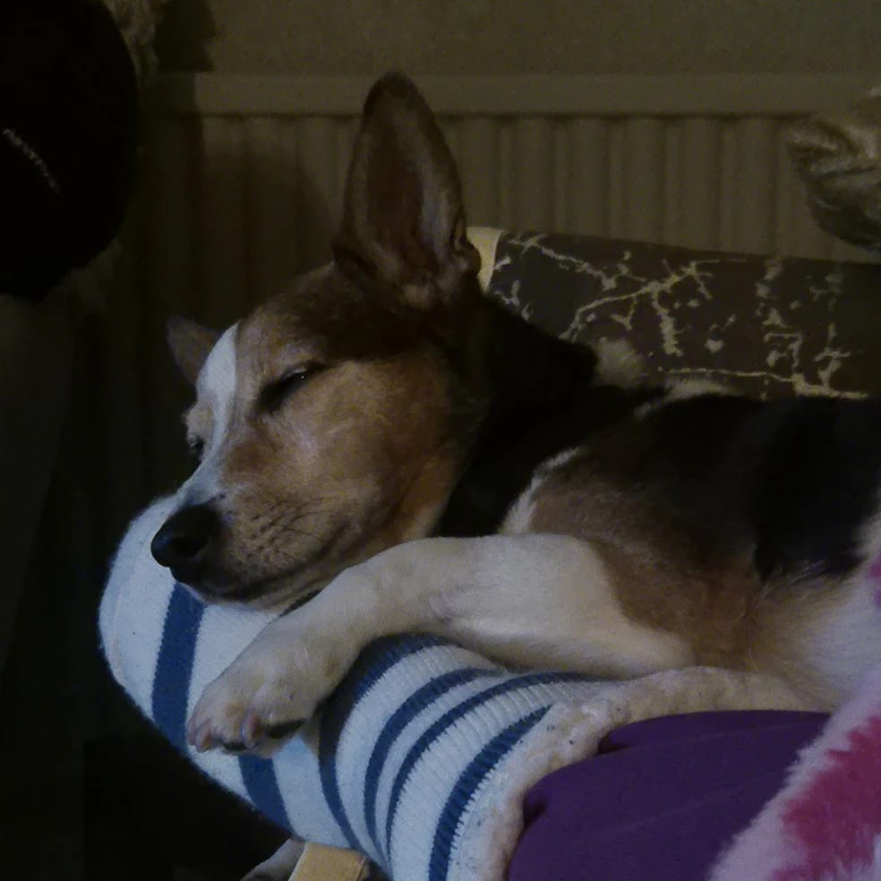 Alfie