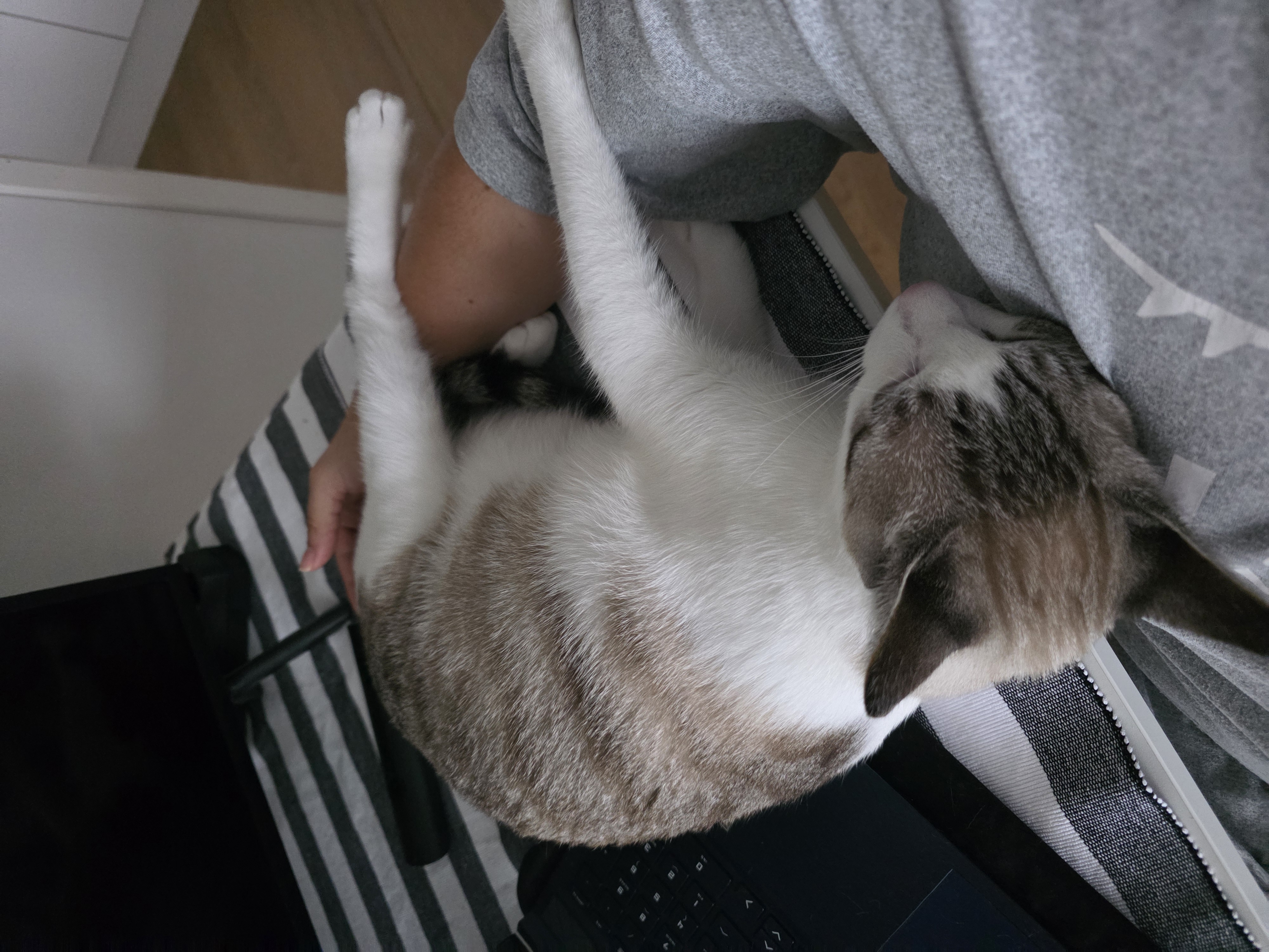 image-9