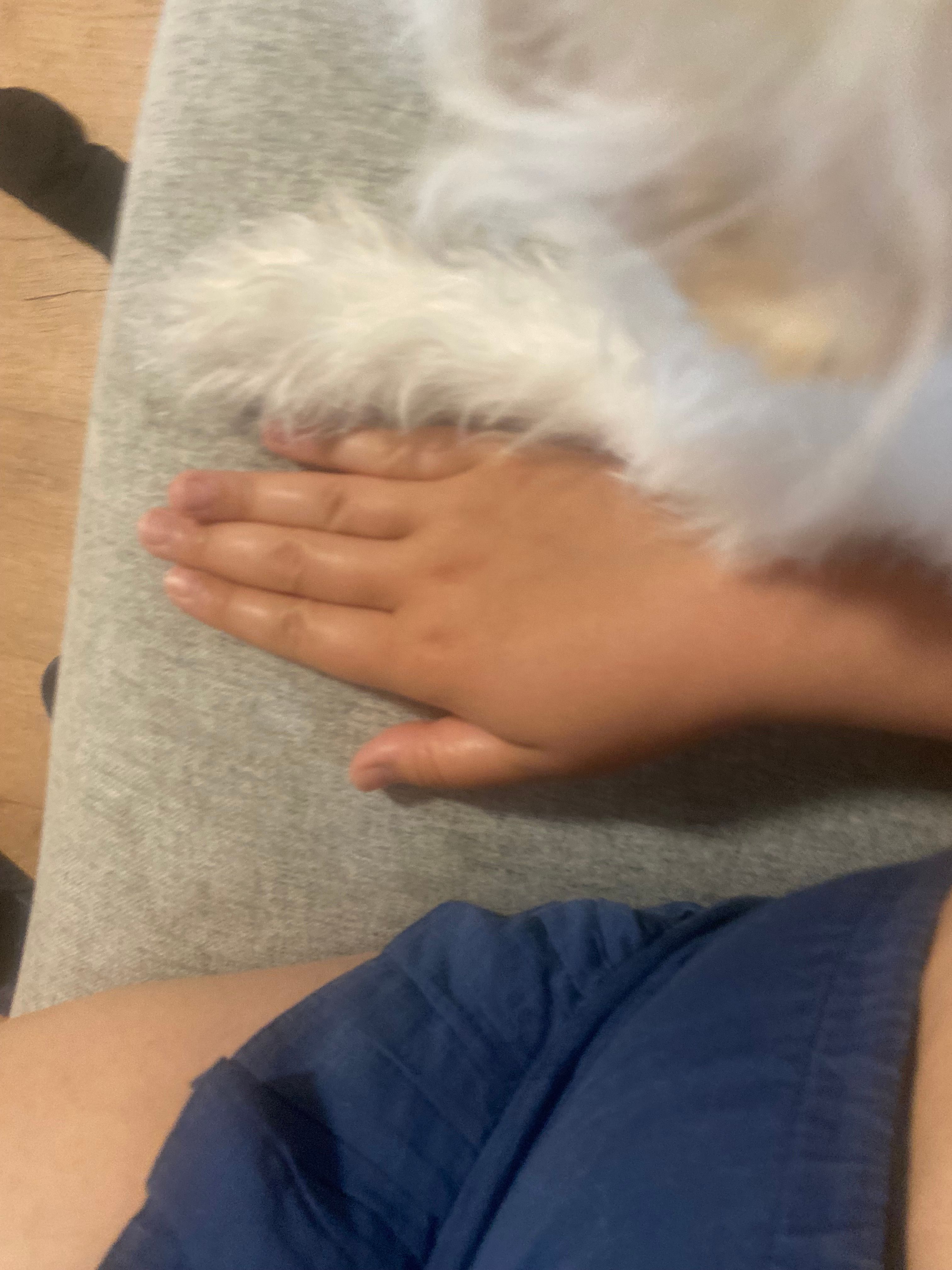 image-10