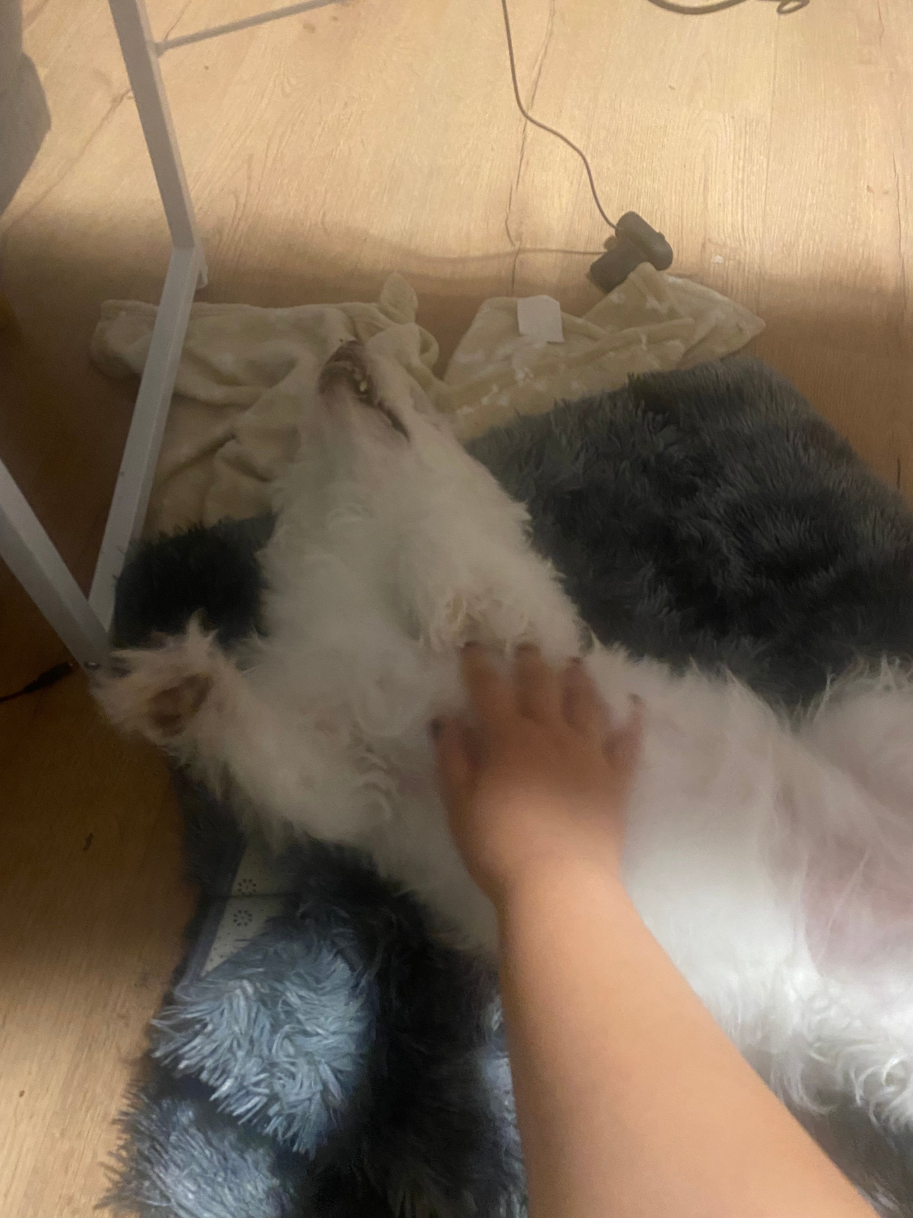 image-7