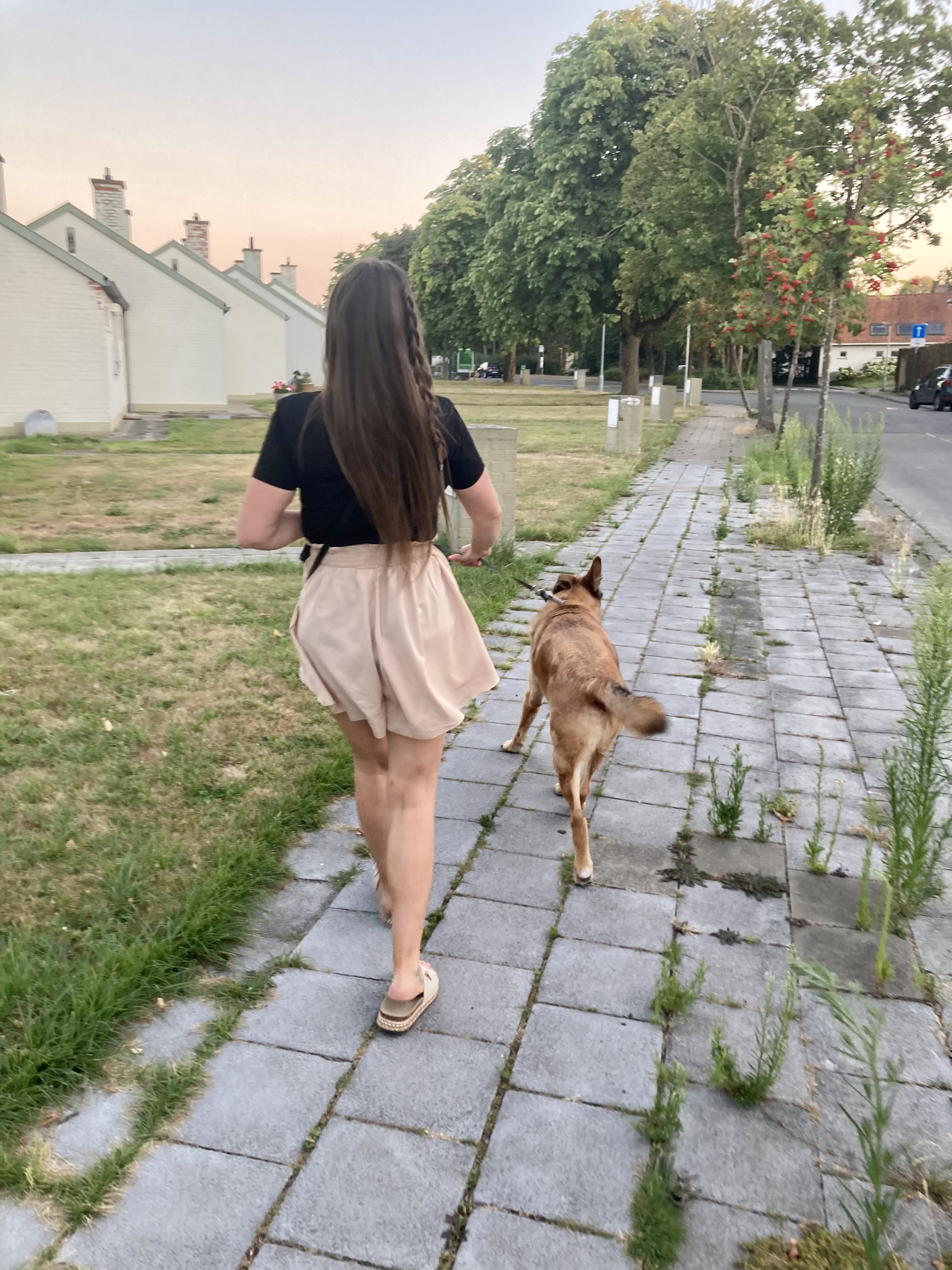 image-7