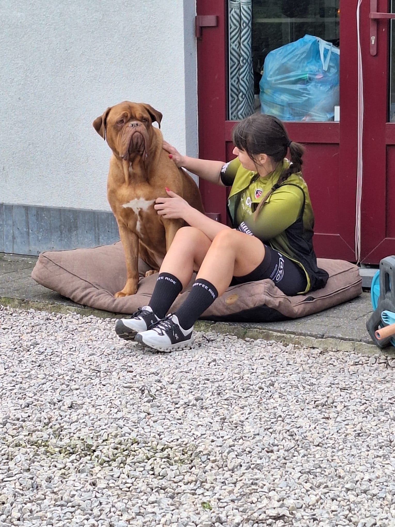 image-8