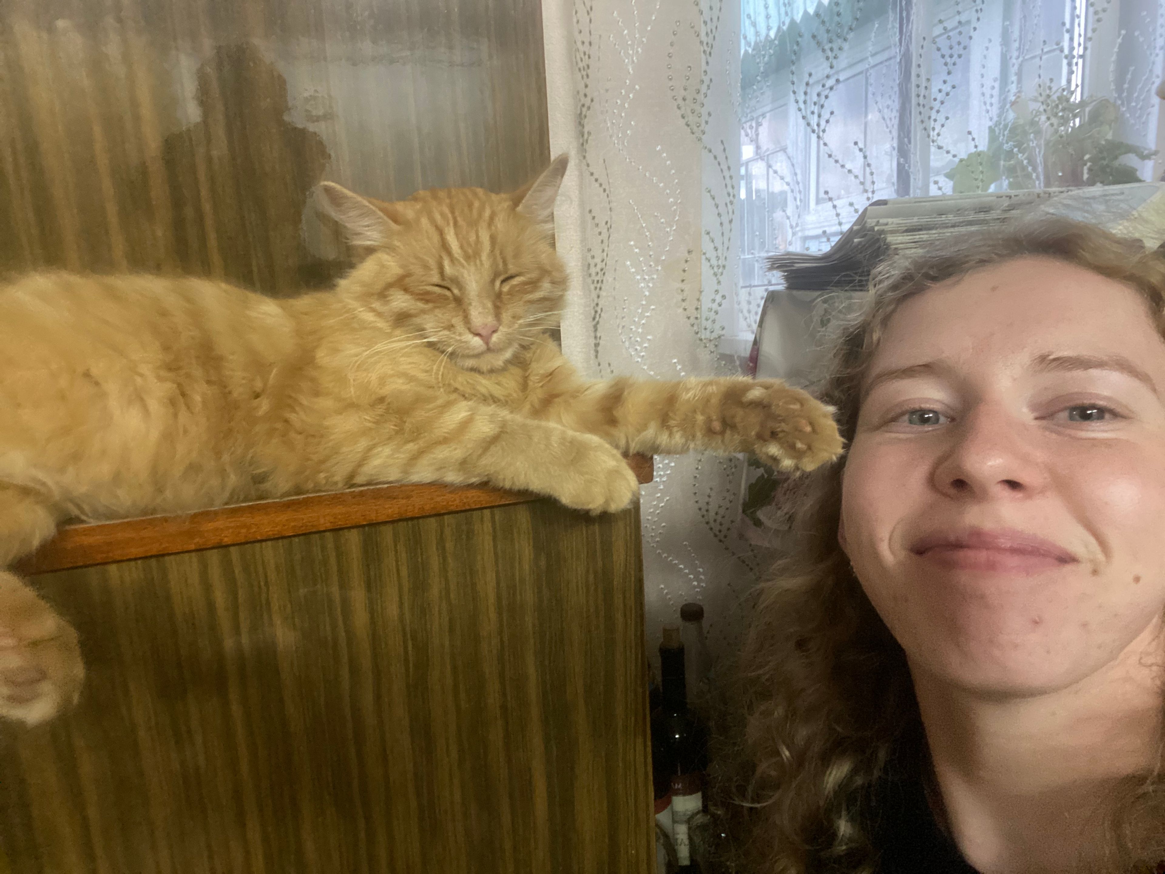 image-8