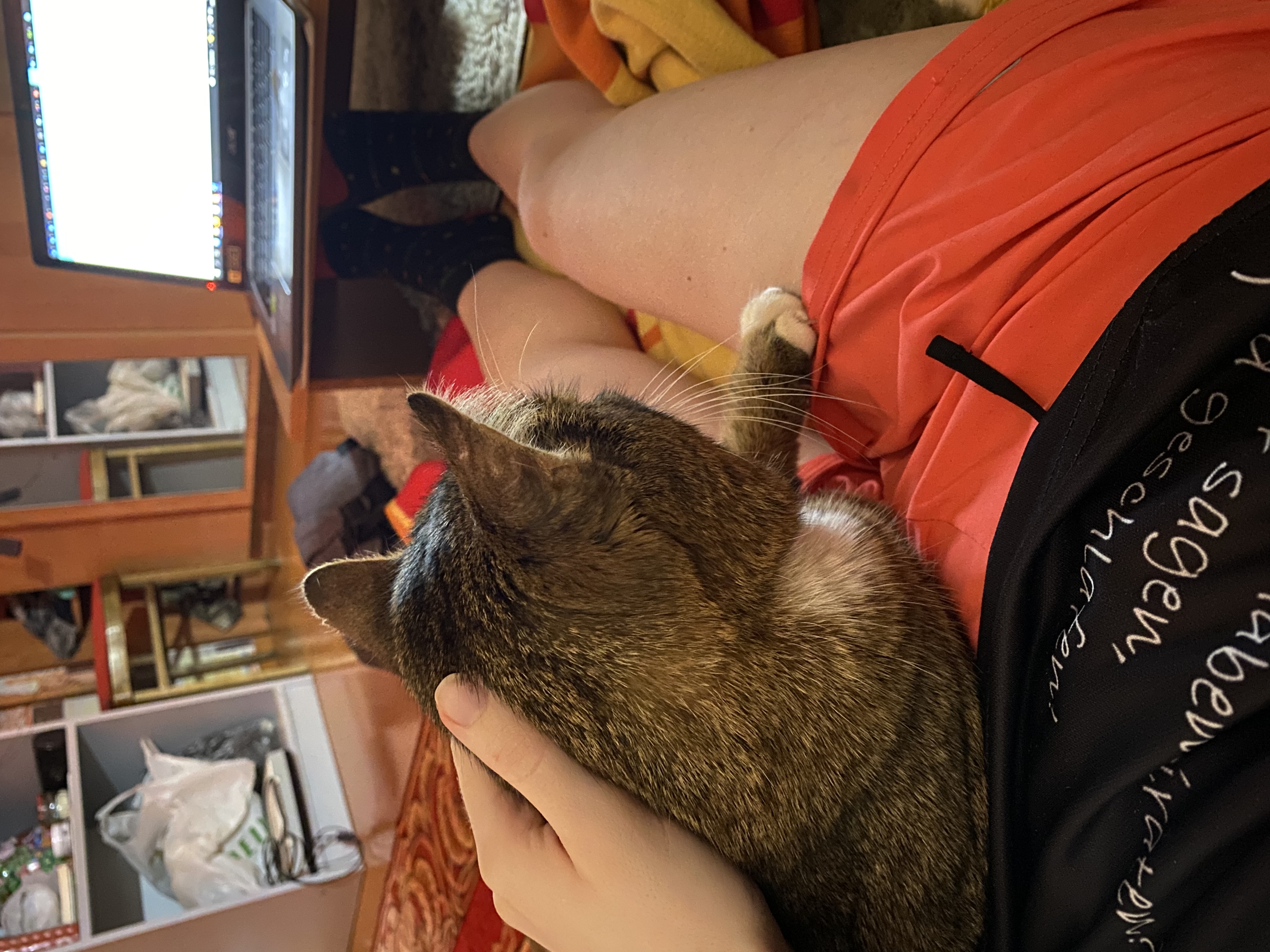 image-10