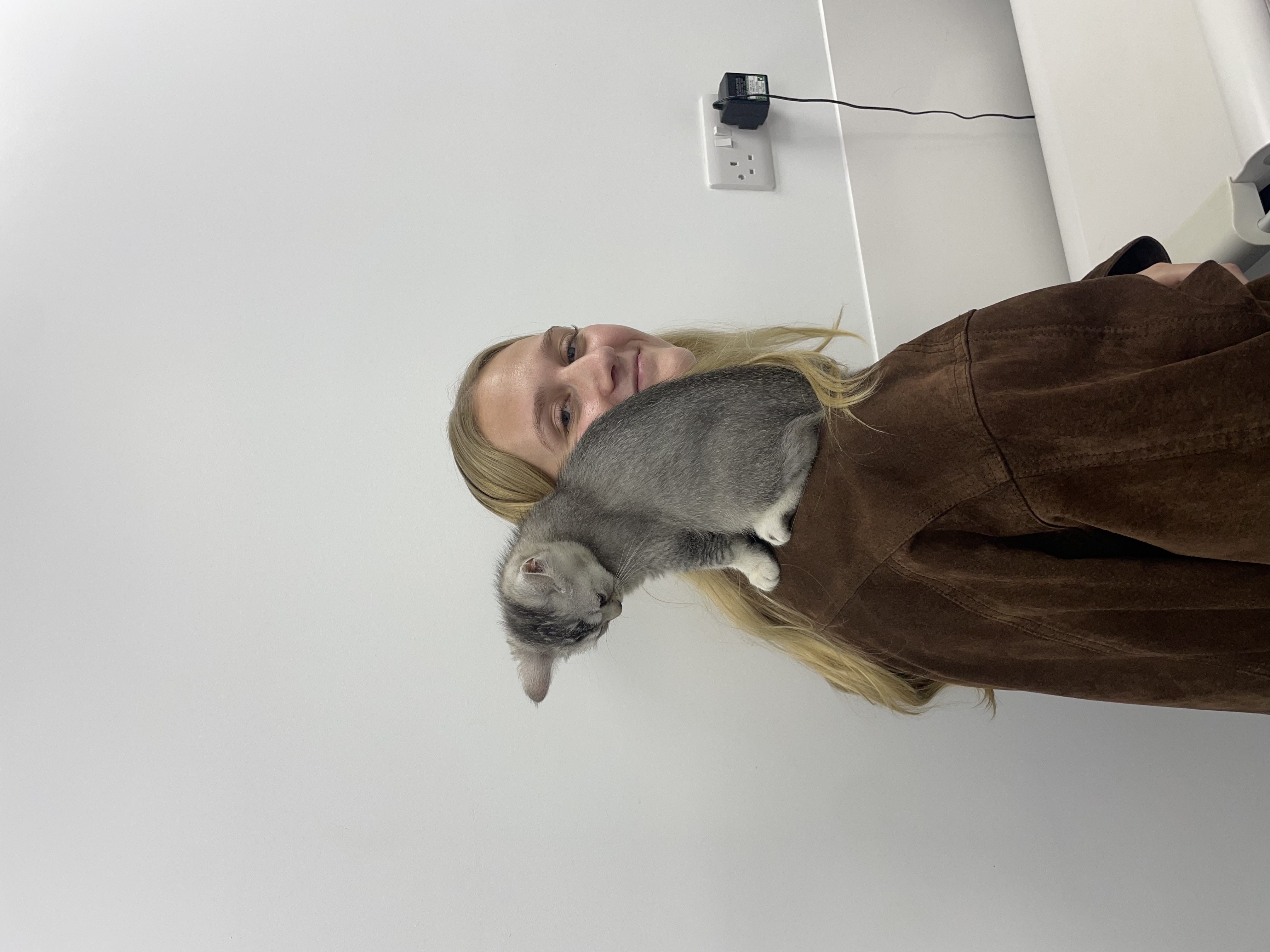 image-6