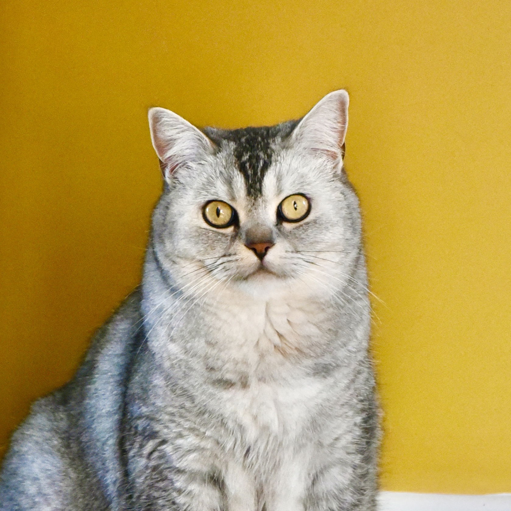 Meep