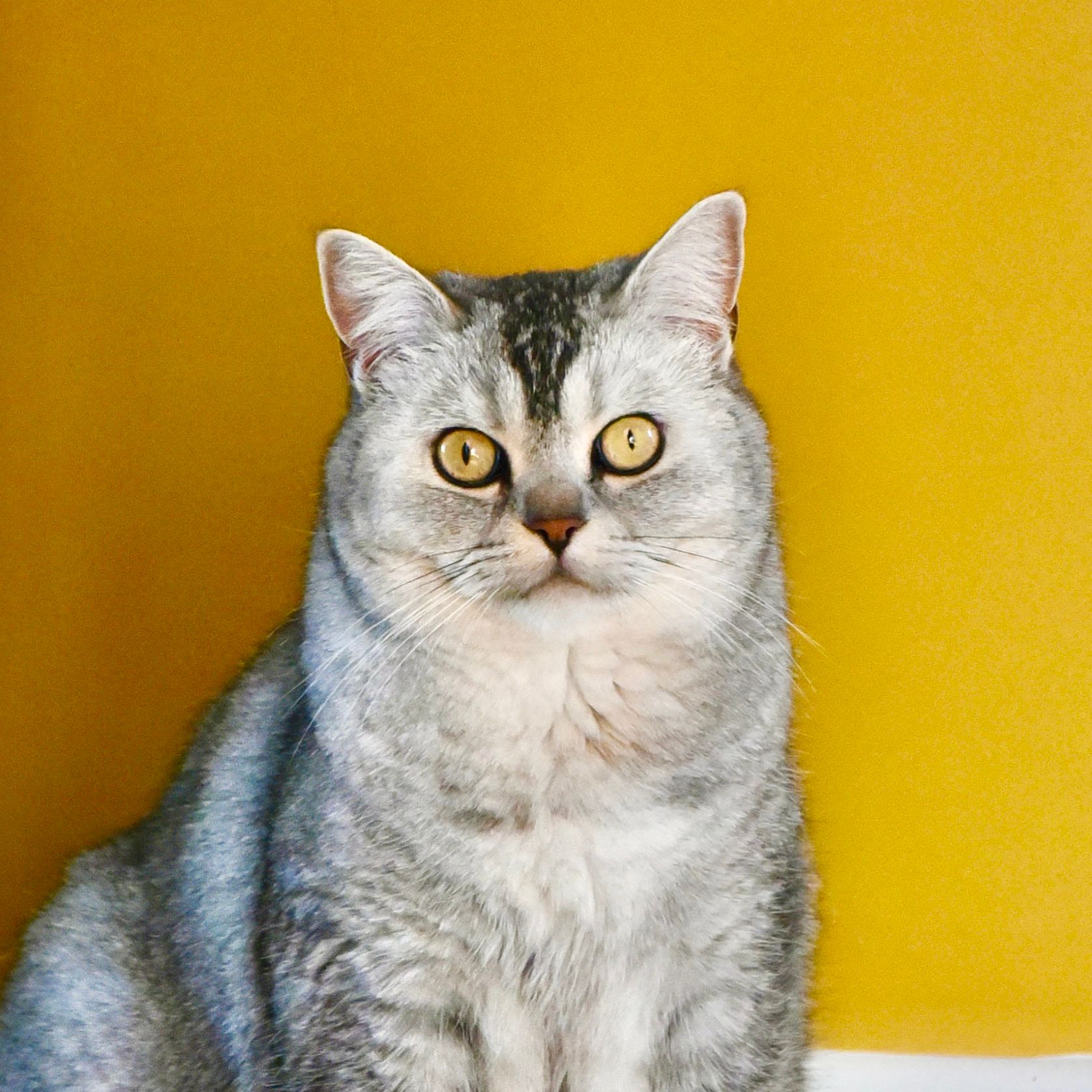 Meep