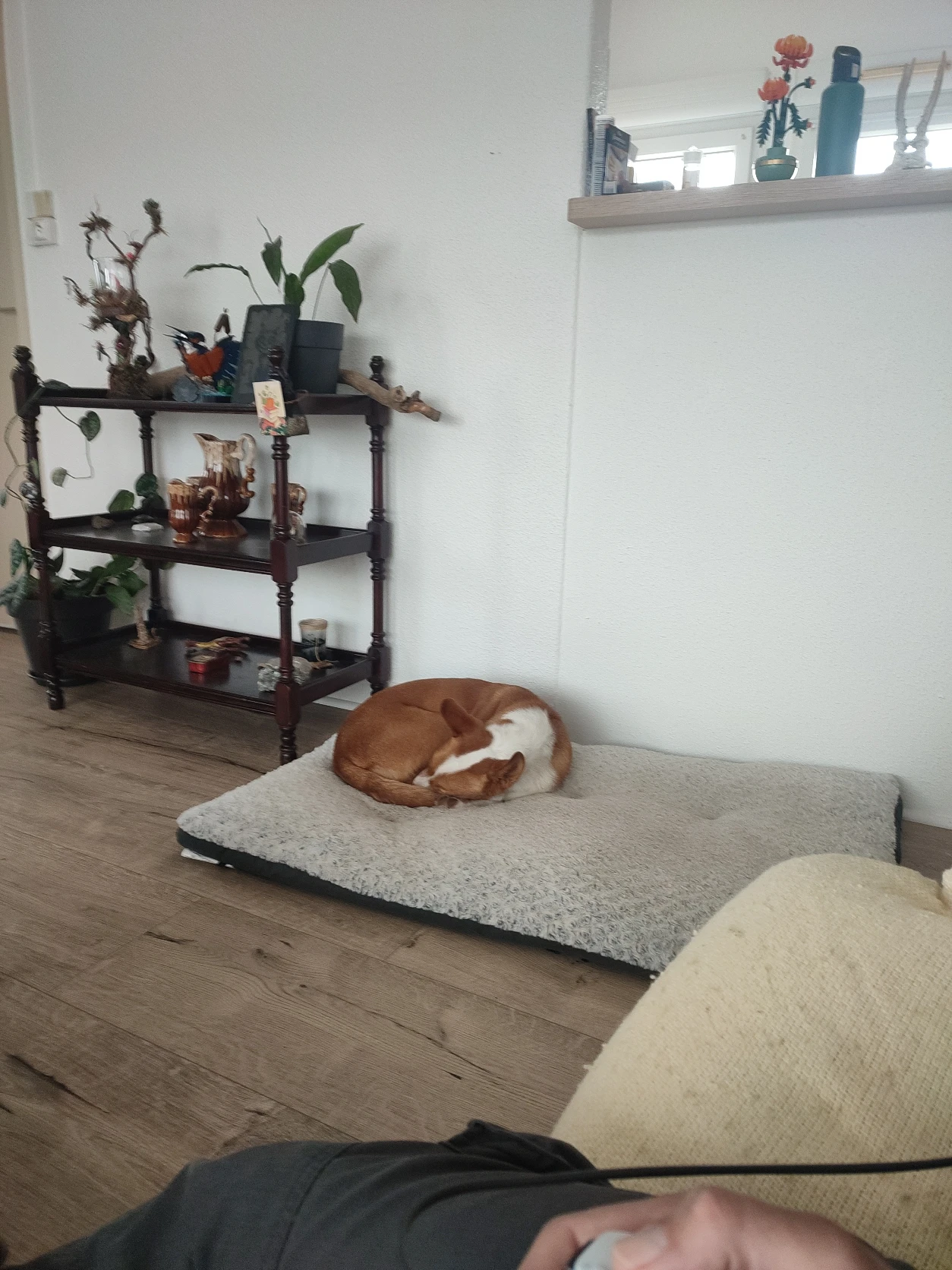 image-13