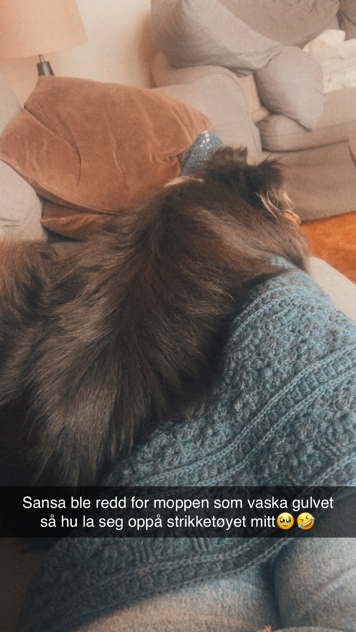 image-8