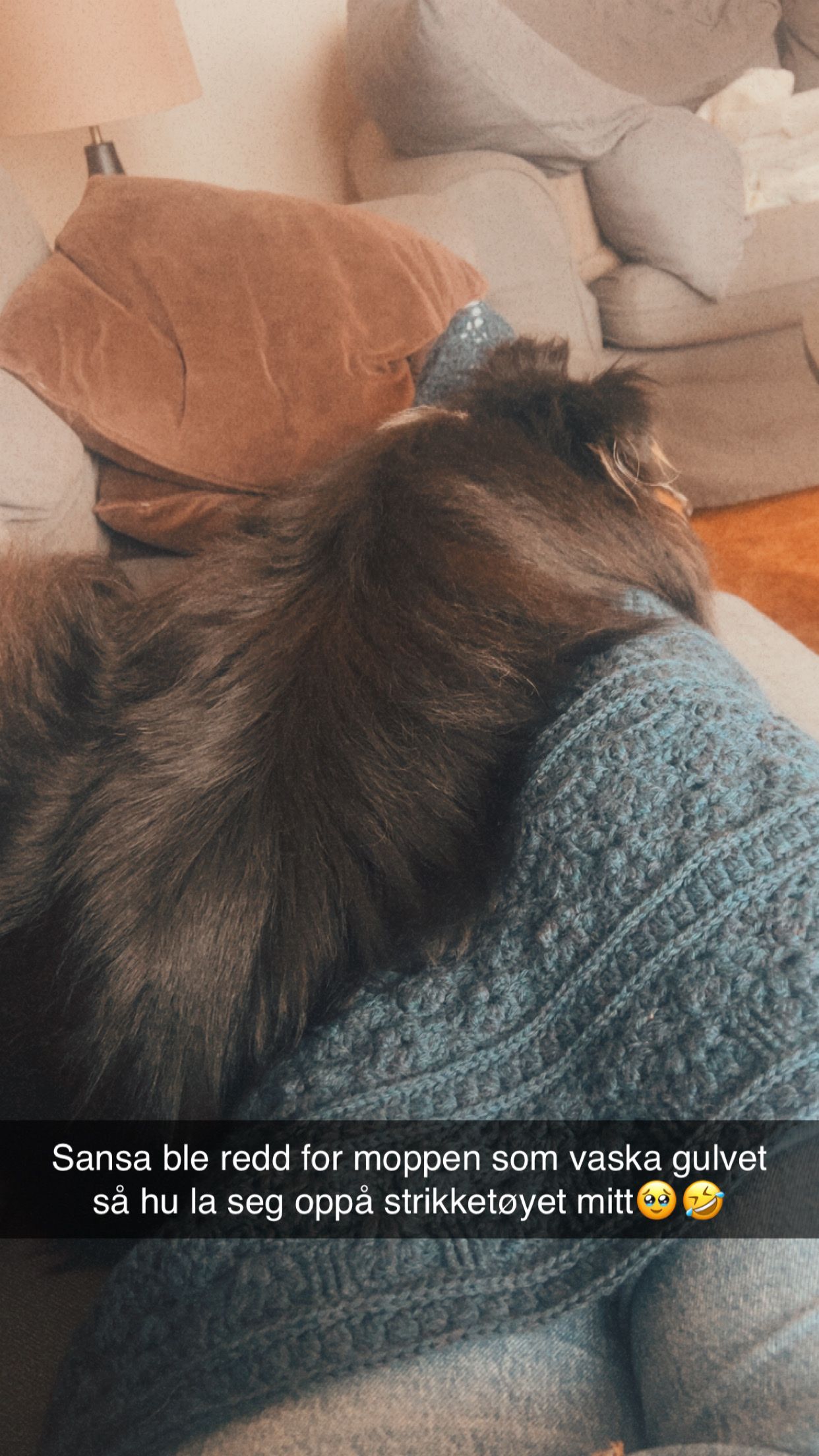 image-8