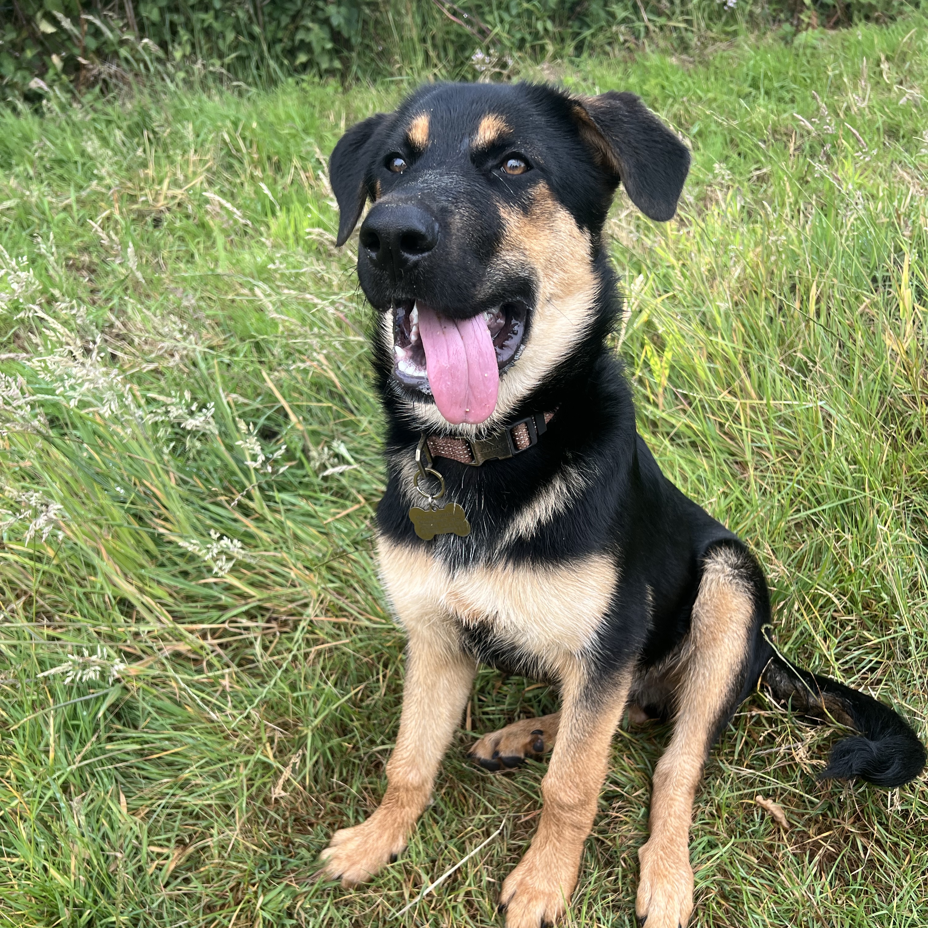 Ralphie 