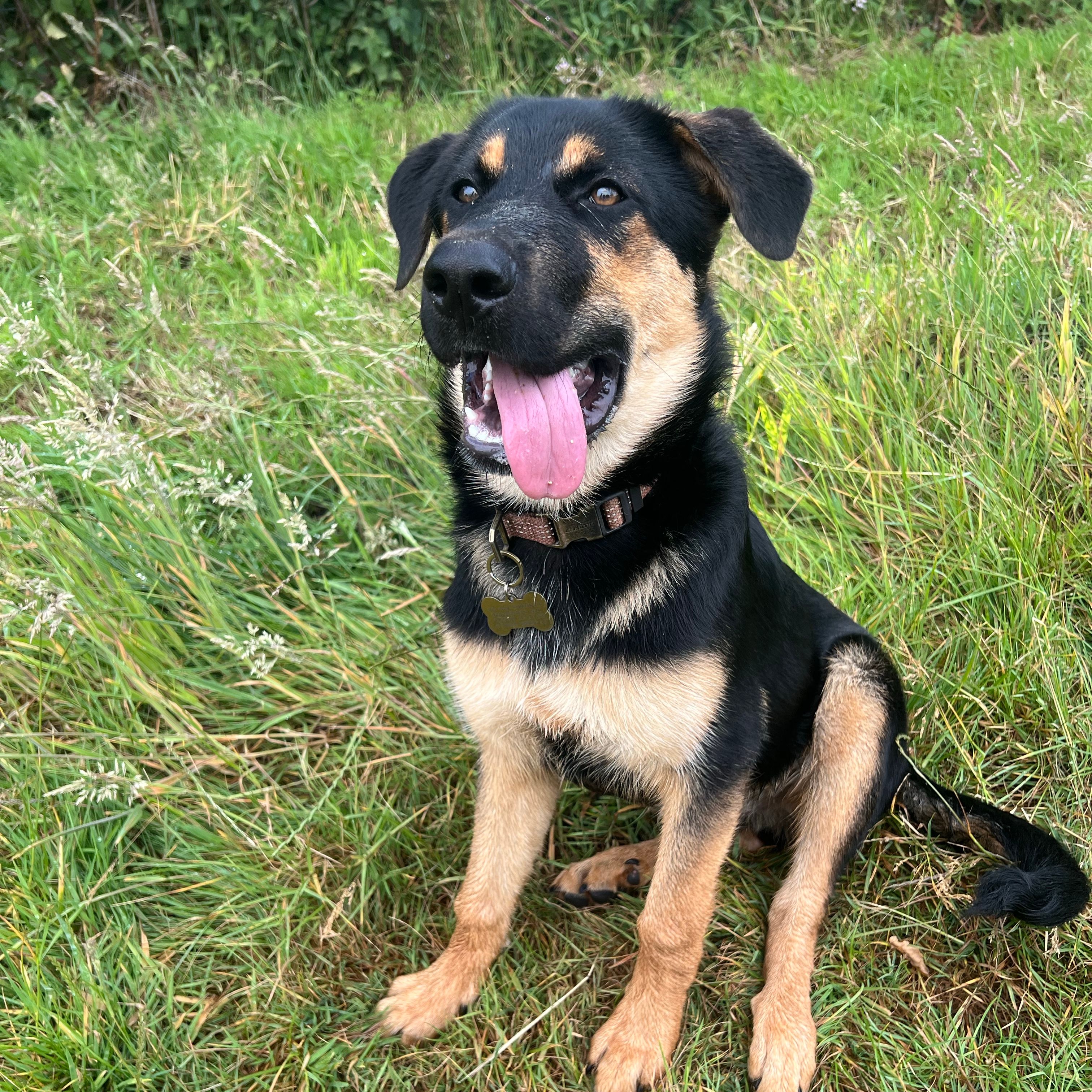 Ralphie