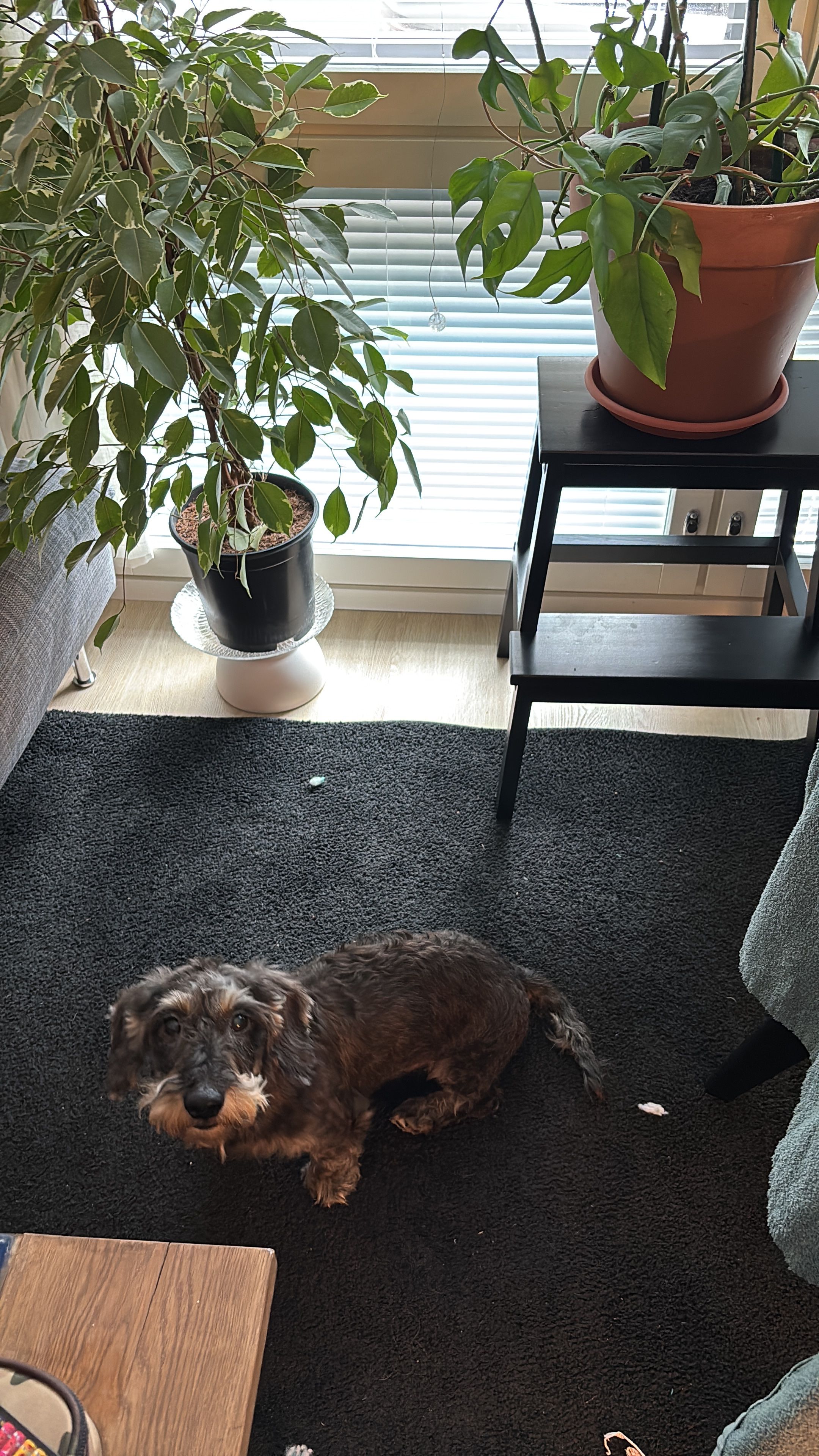 image-13