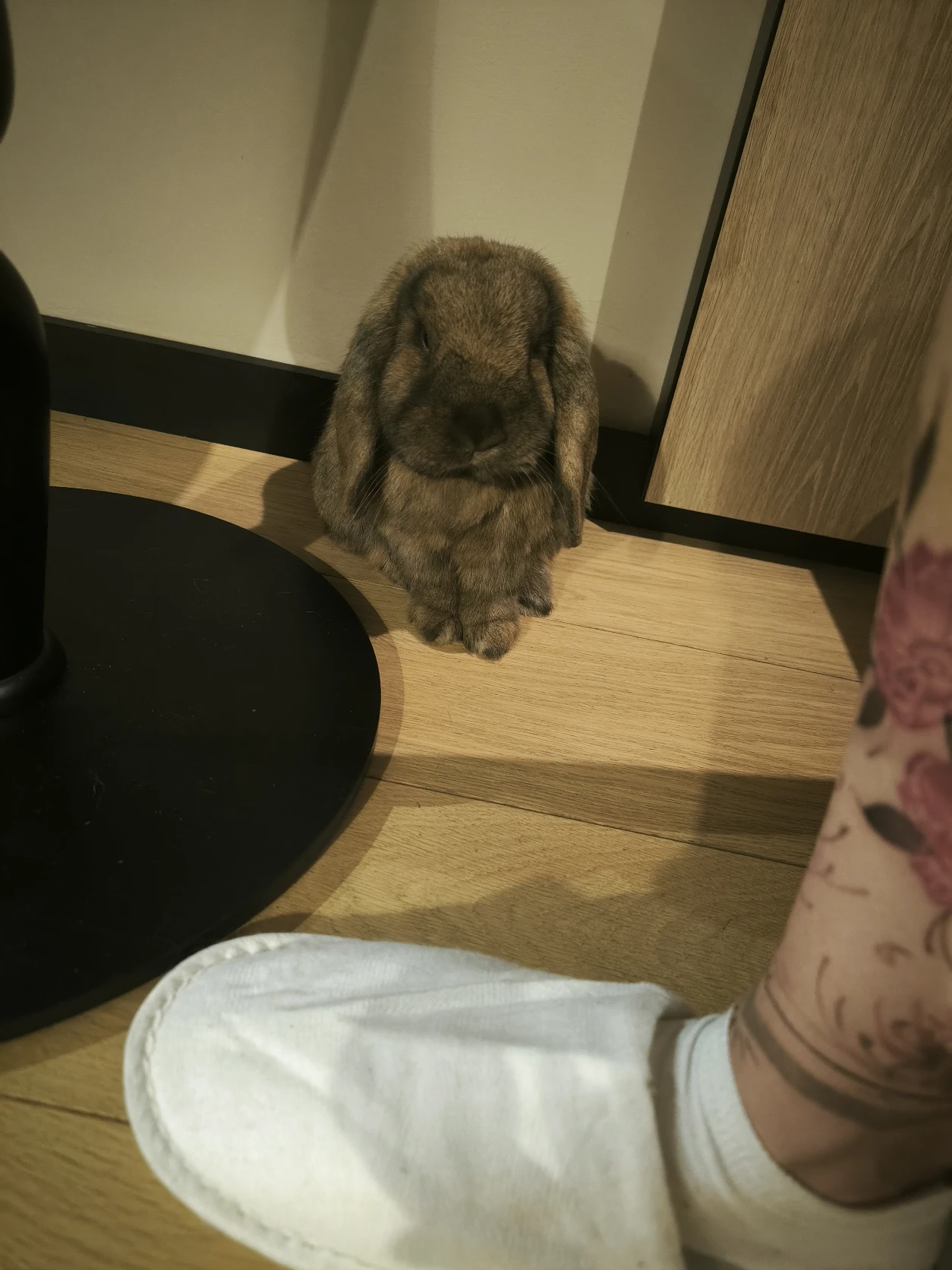 image-4