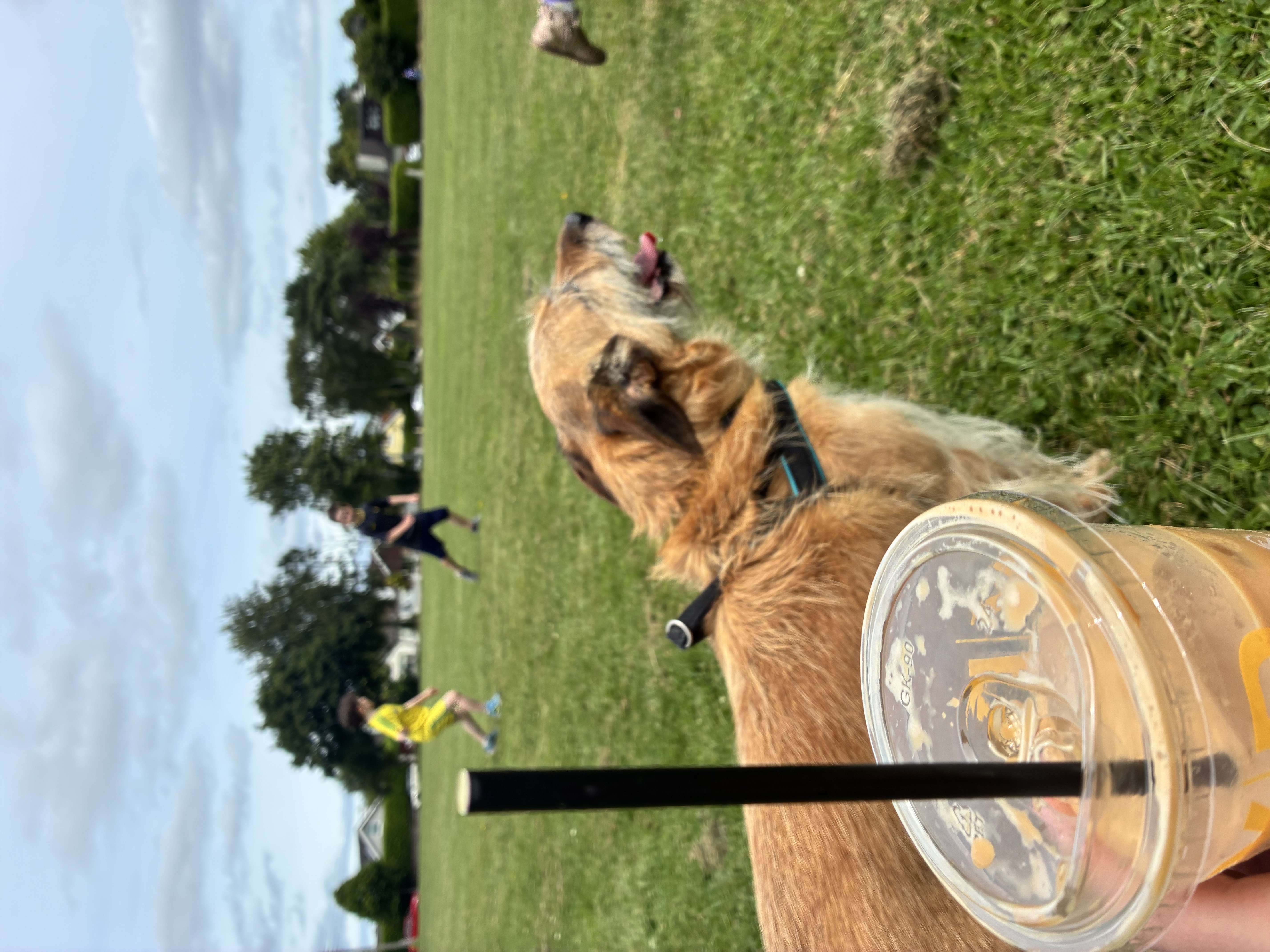 image-8