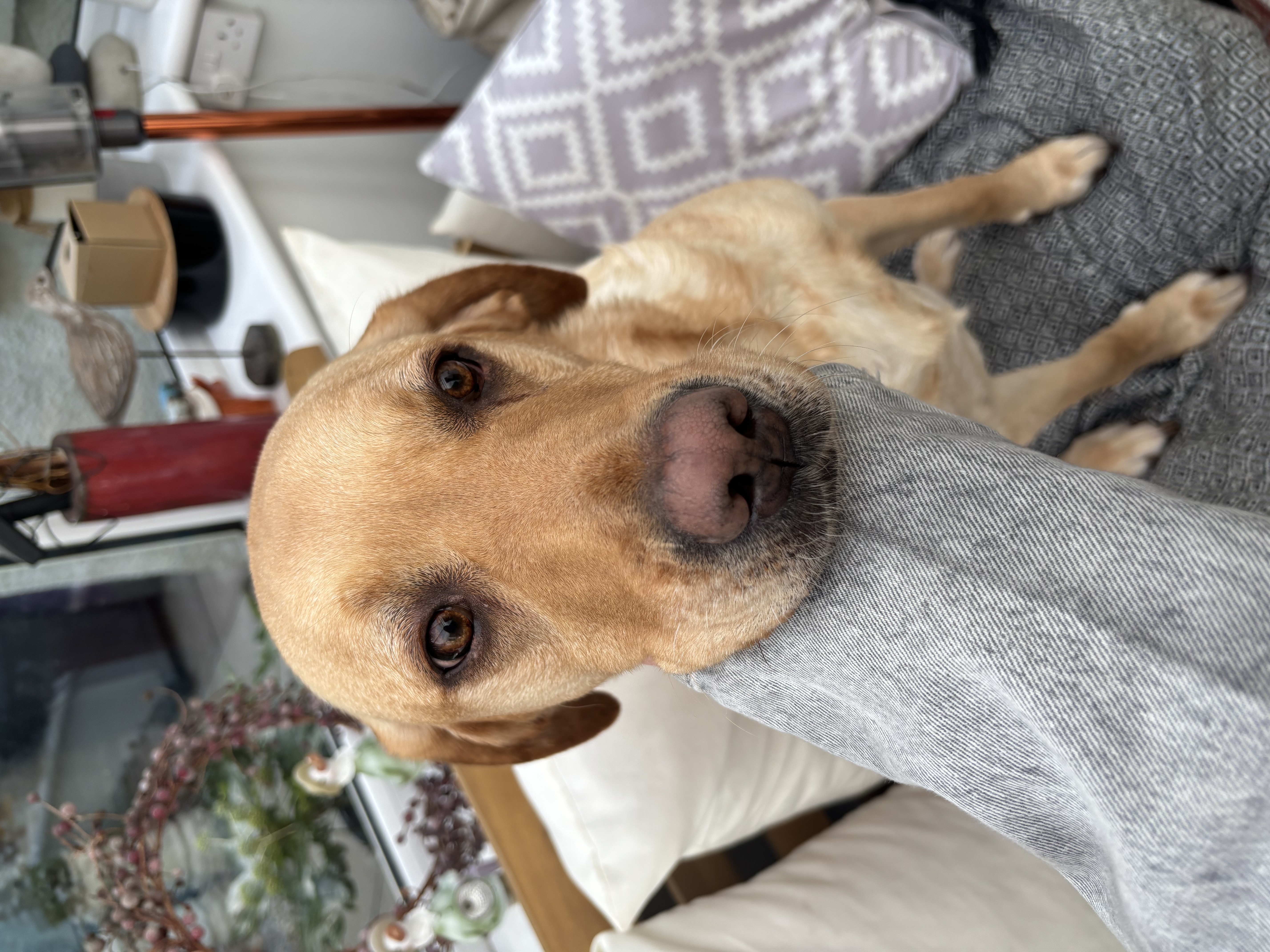 image-2
