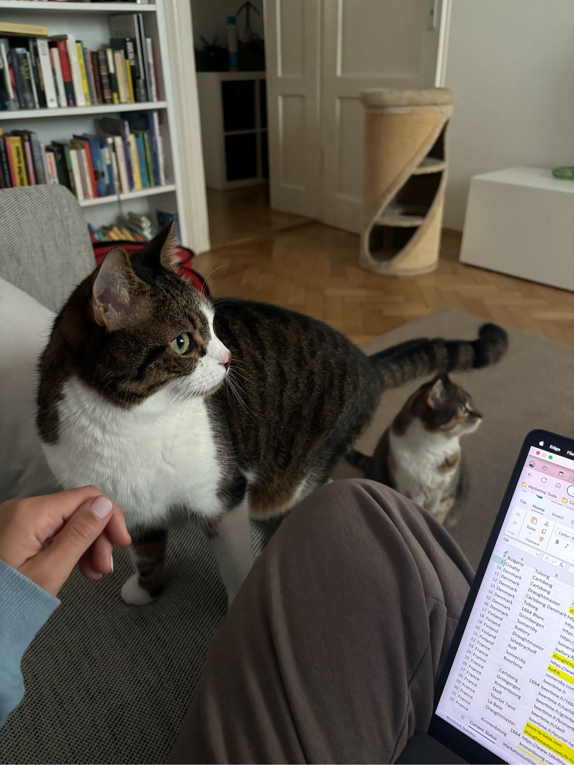 image-10