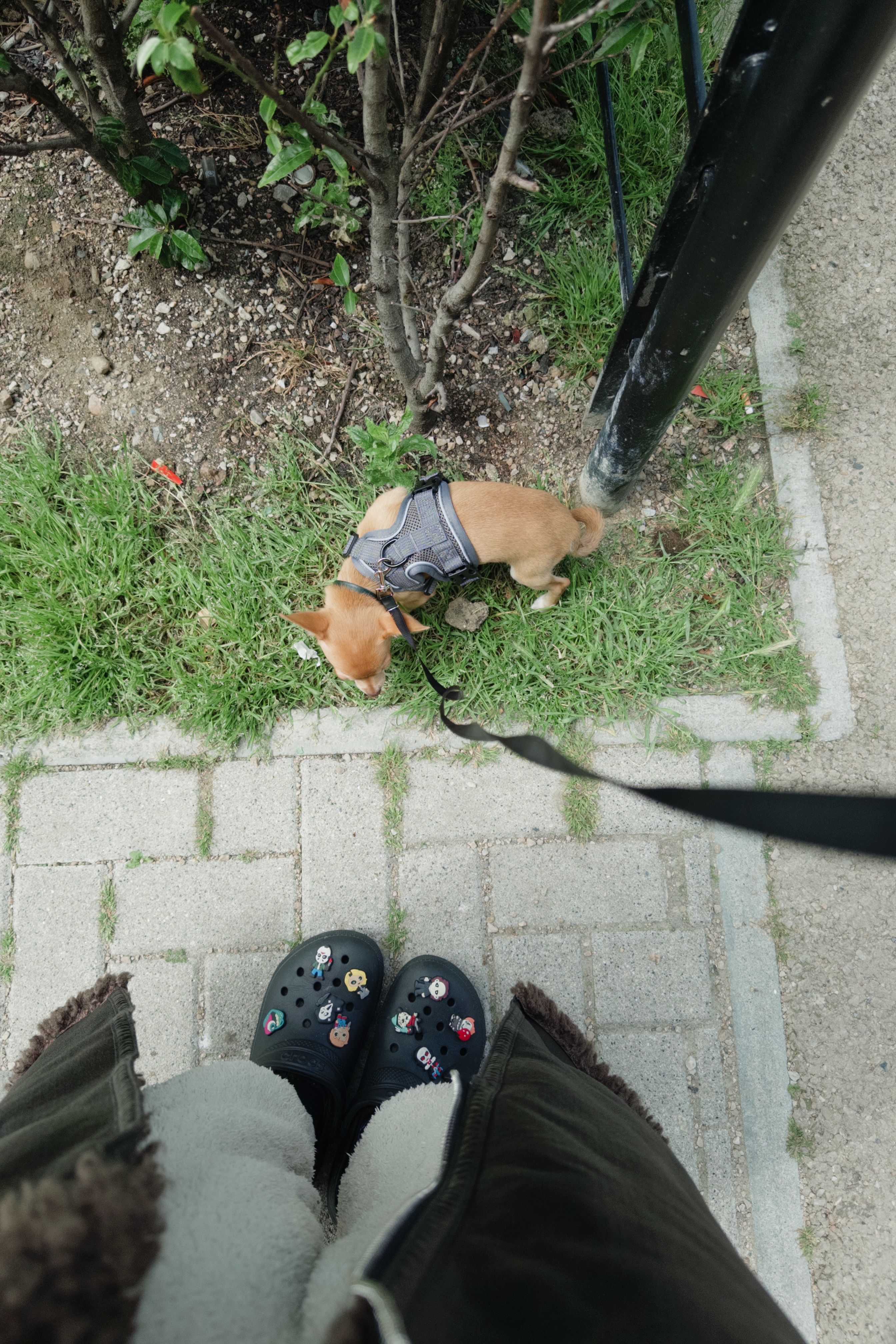 image-13