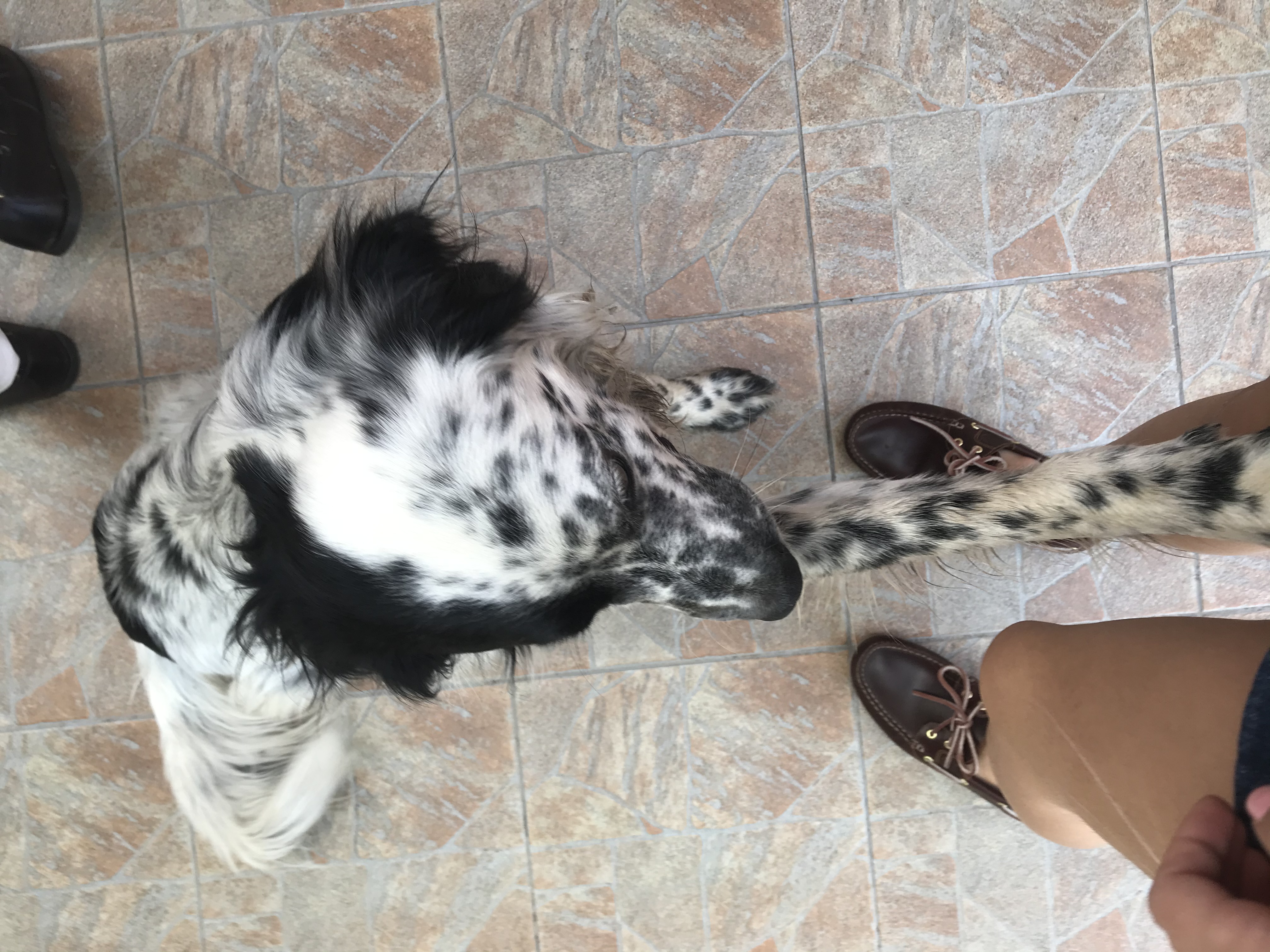 image-7