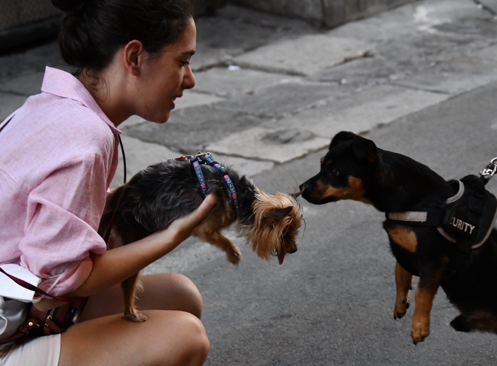 image-4