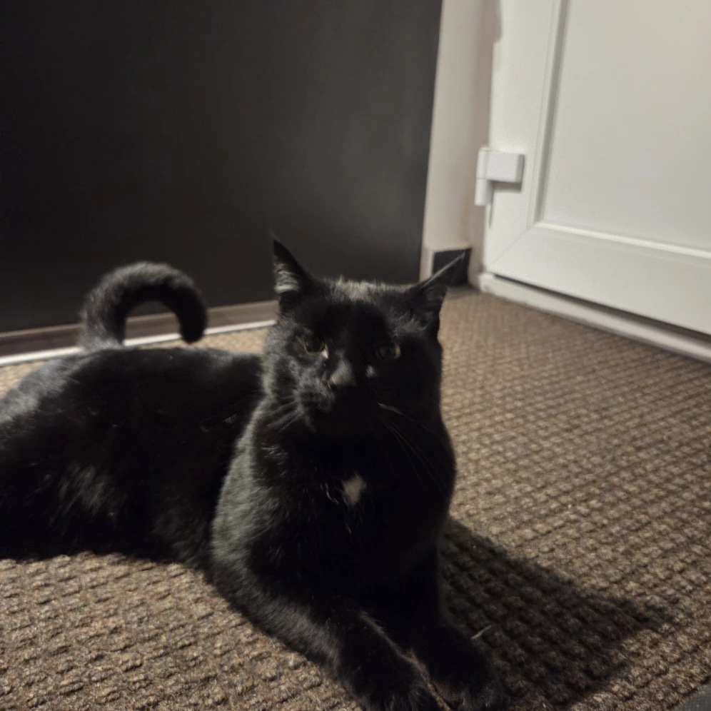 Tom