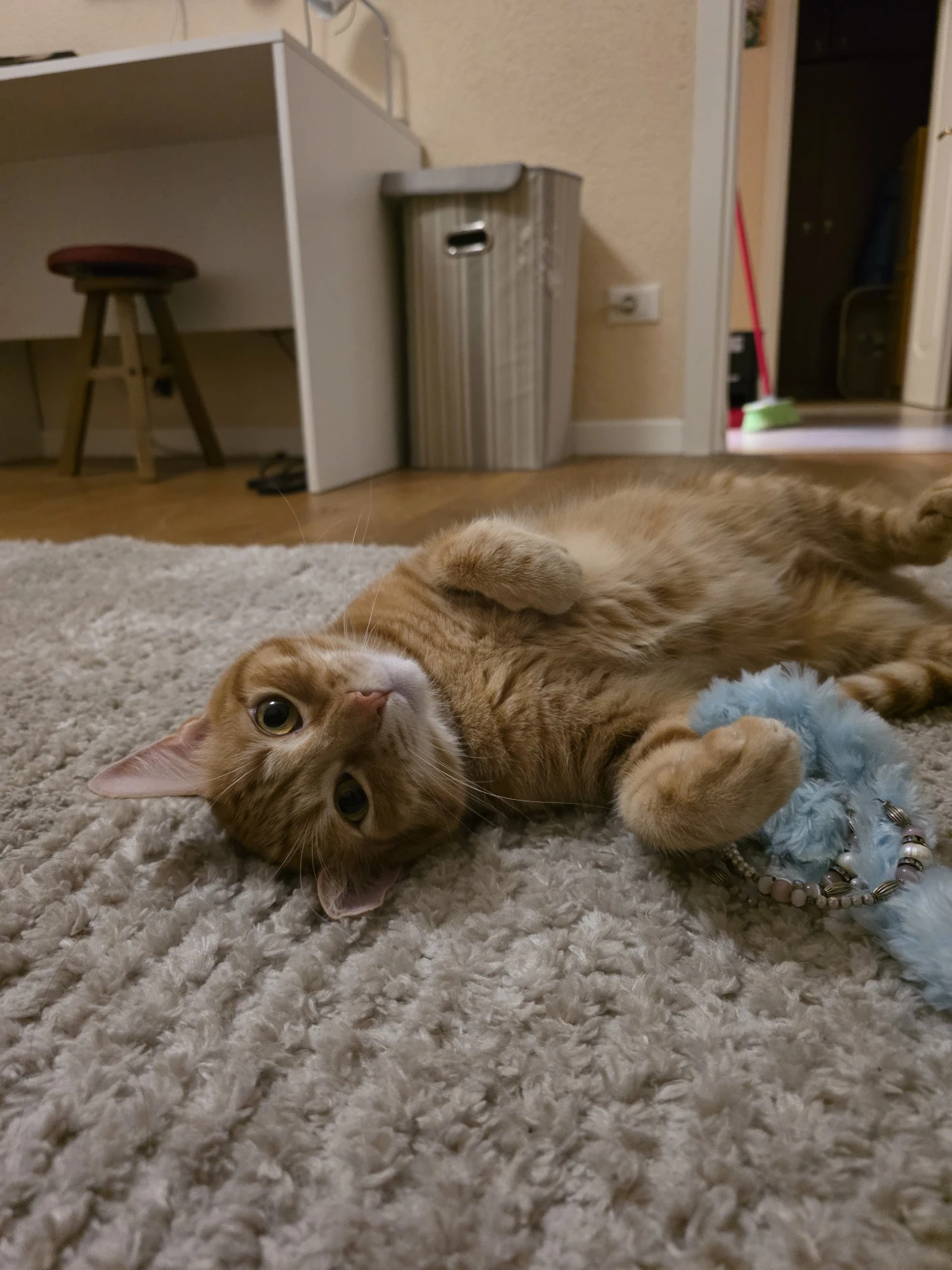 image-7