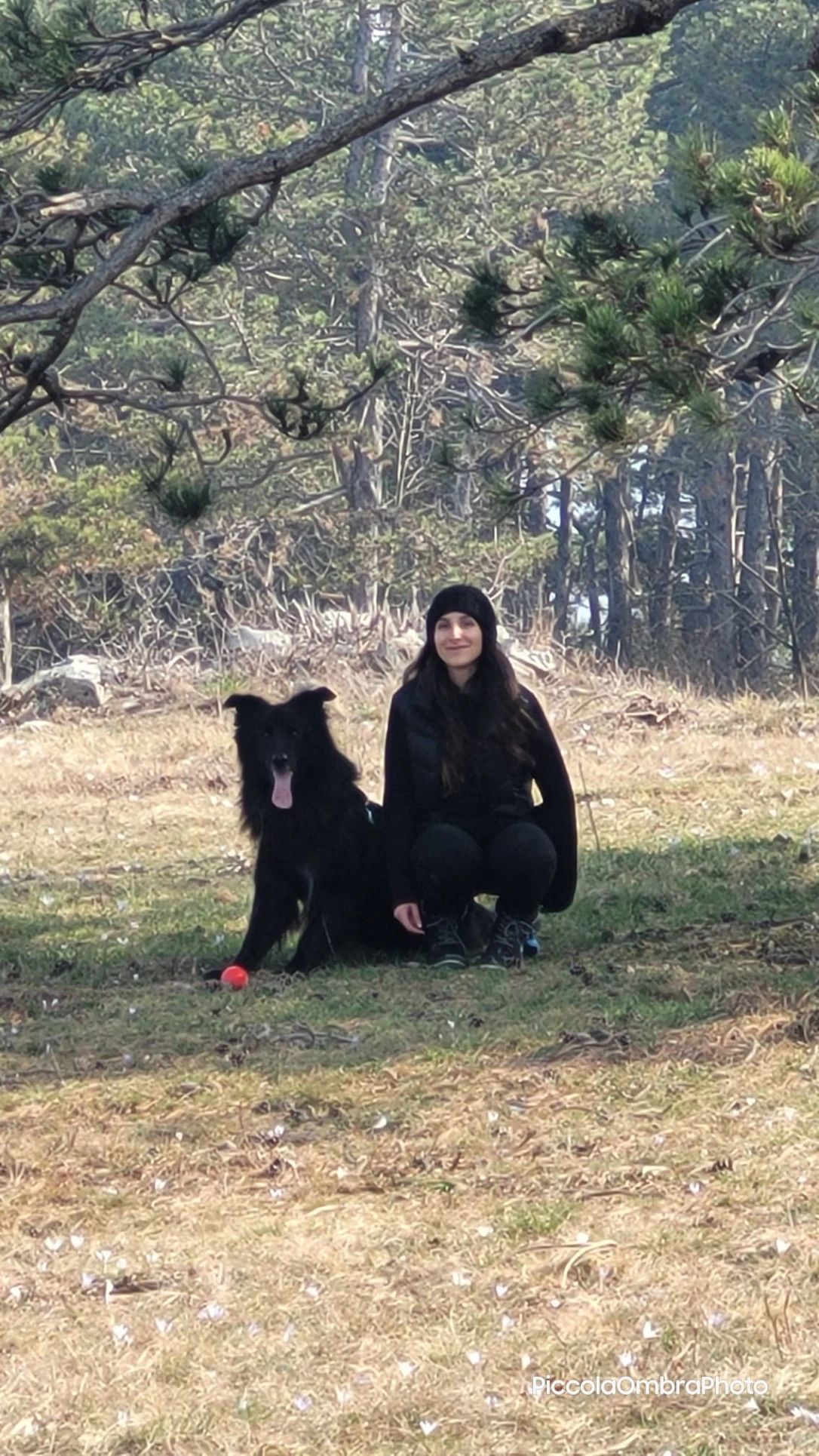 image-1