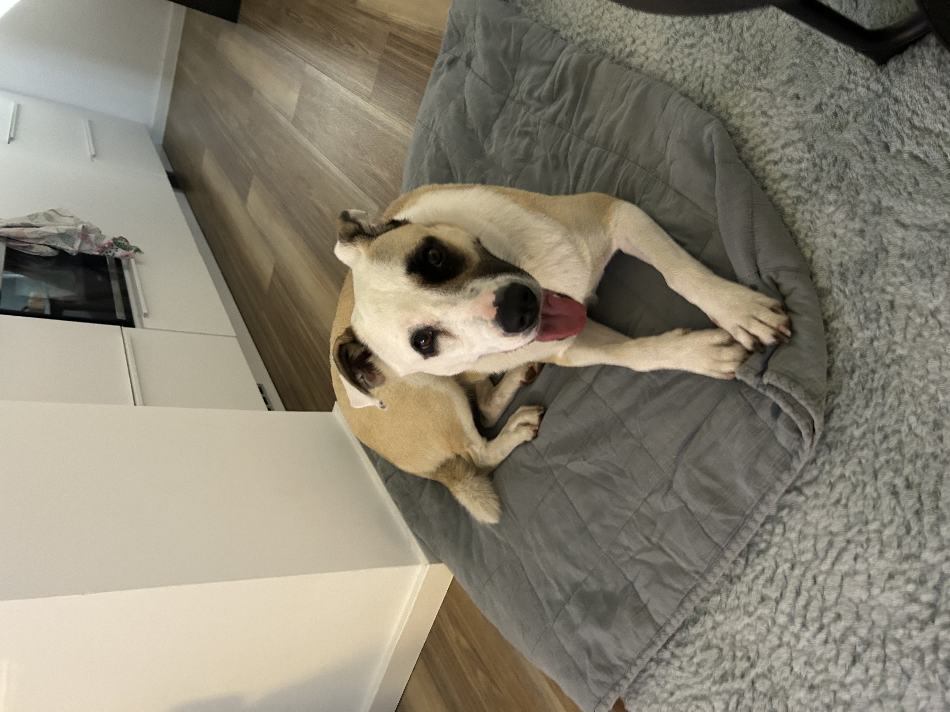 image-13