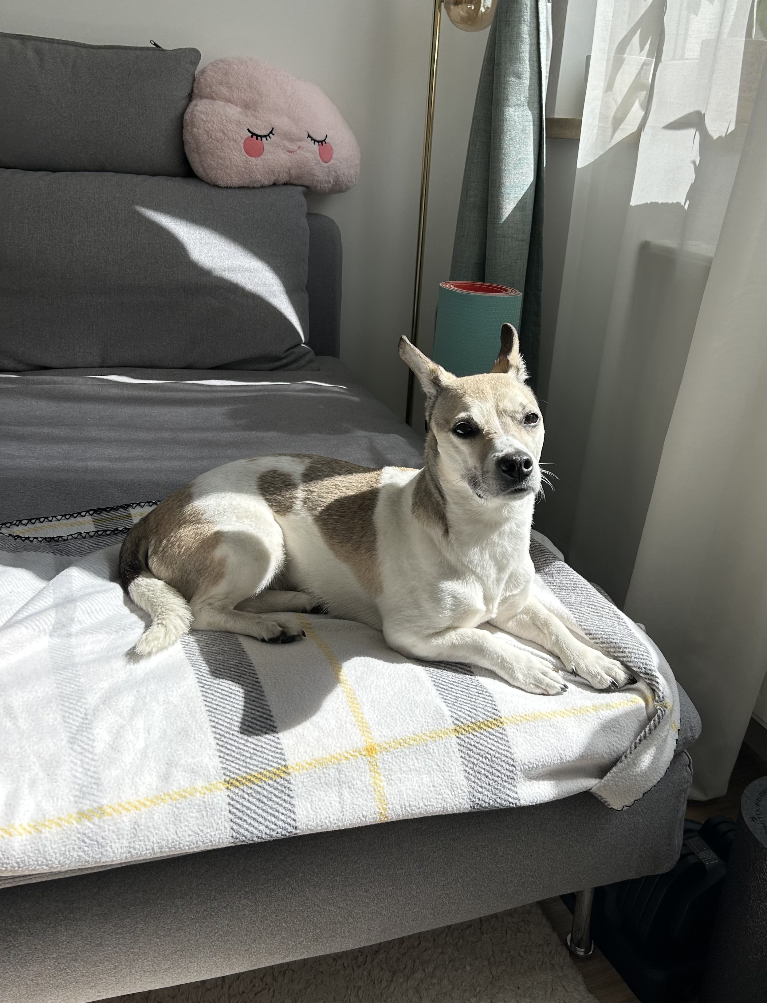 image-11