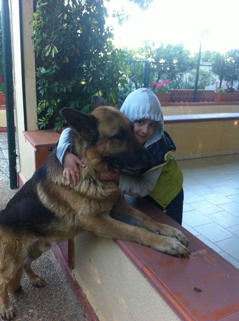 image-3