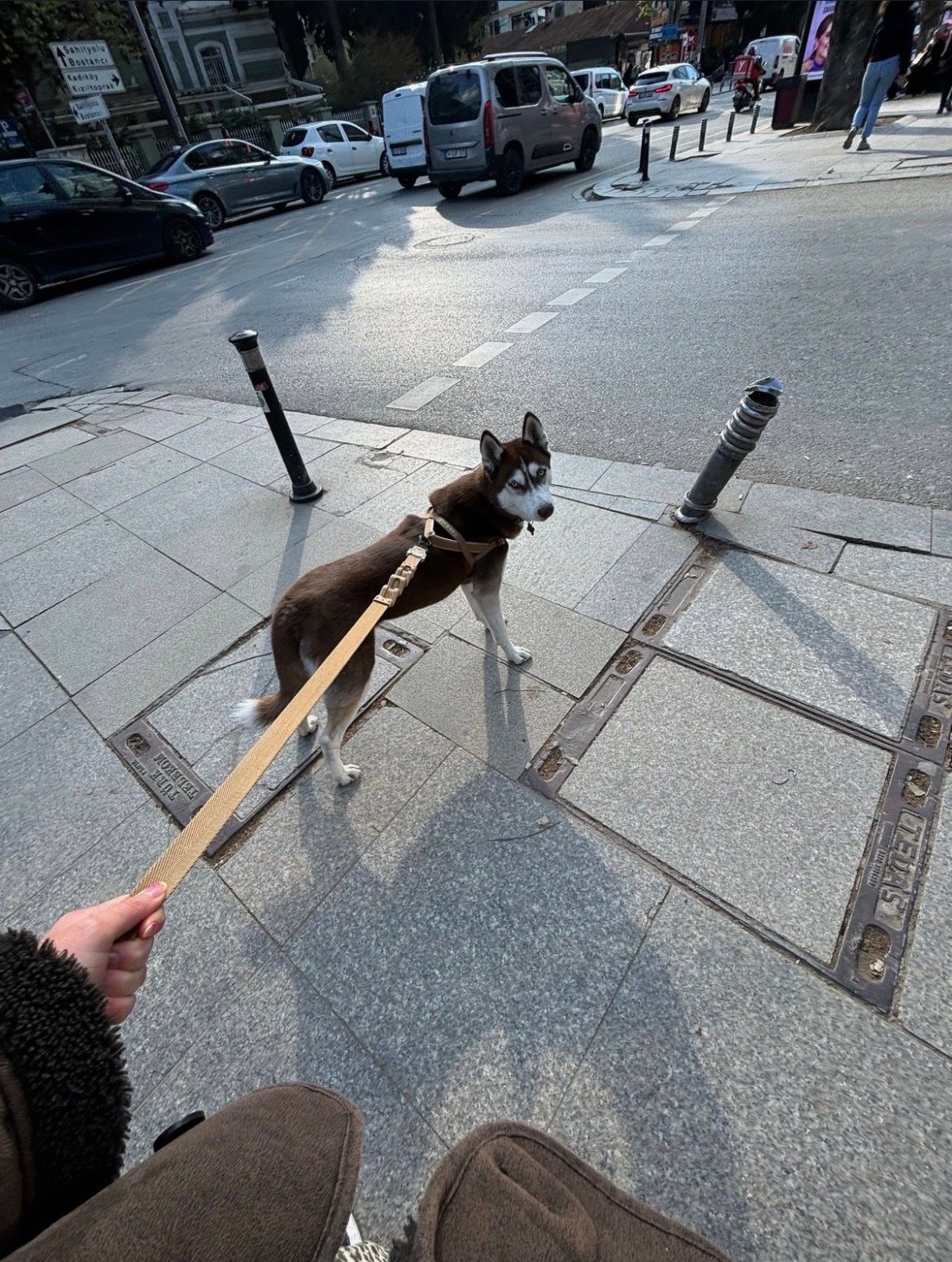image-11