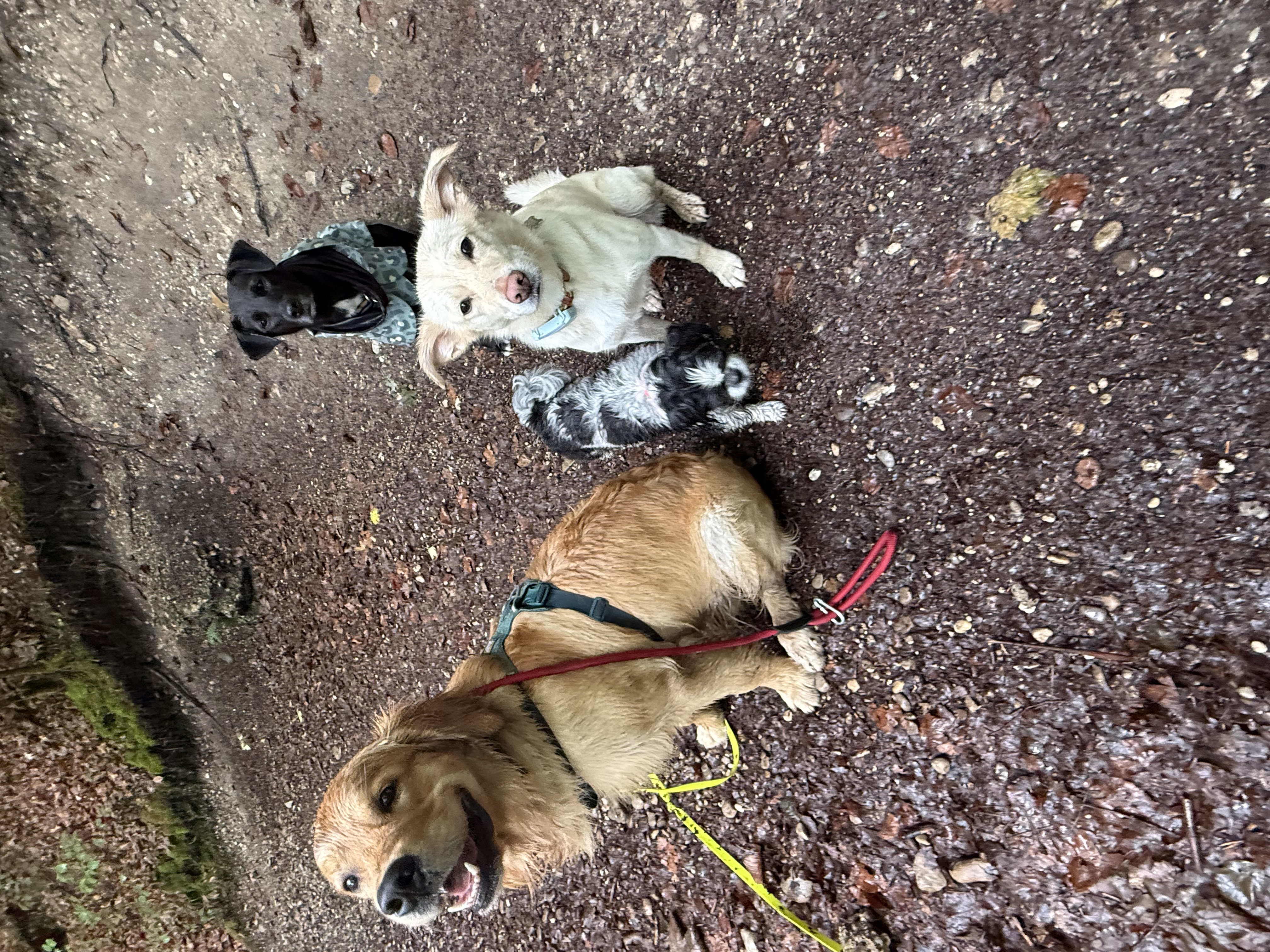 image-7
