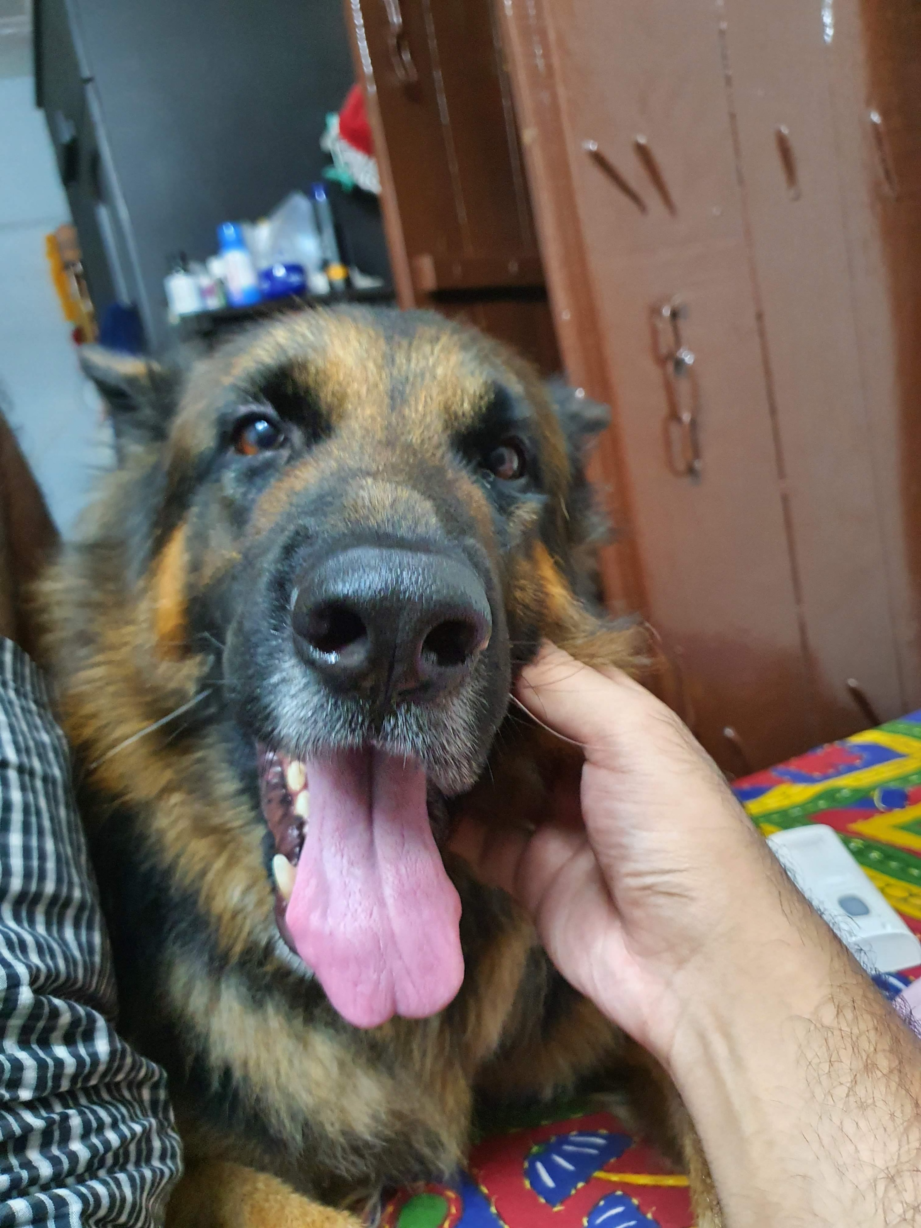 image-4