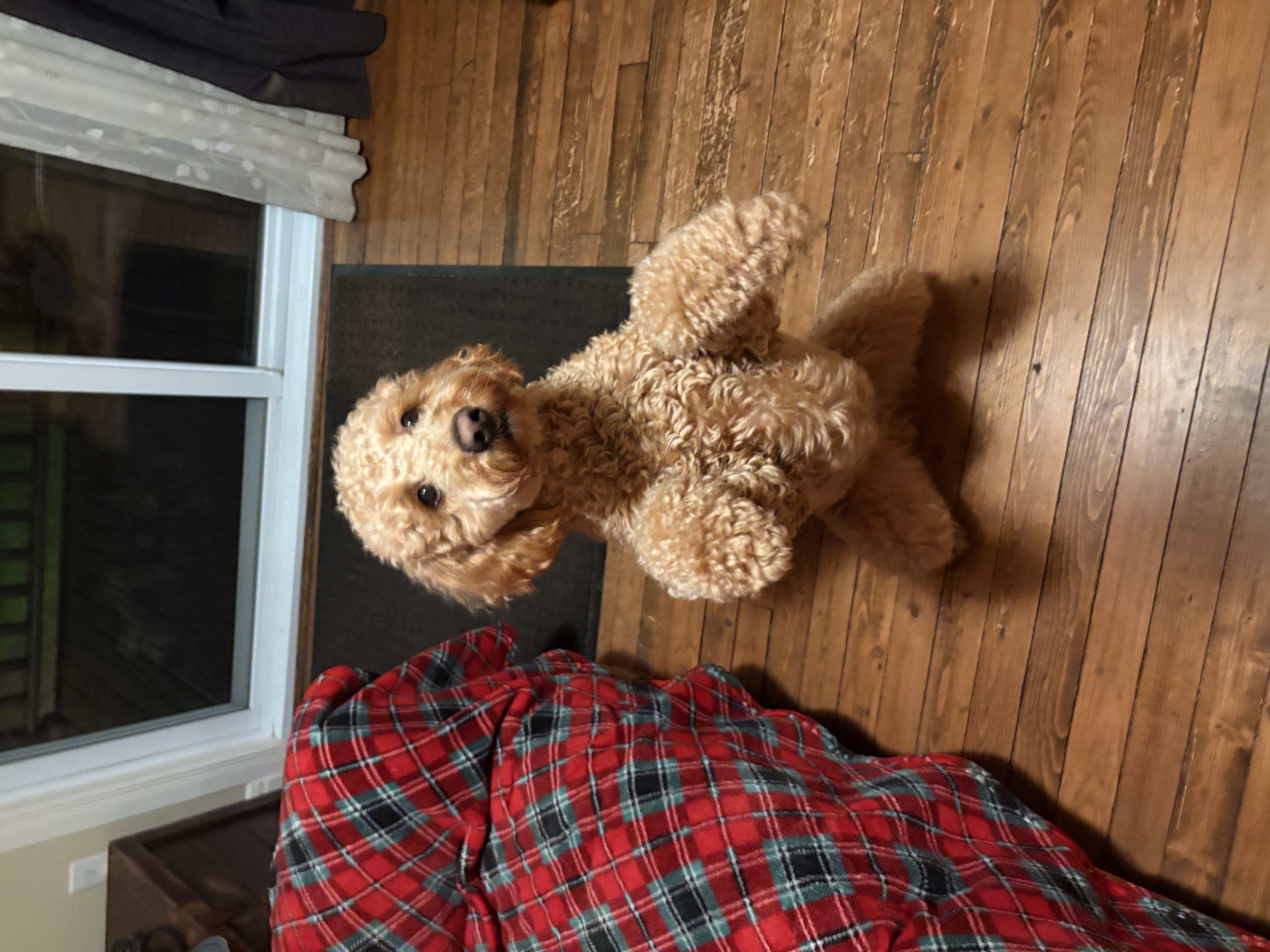 image-6