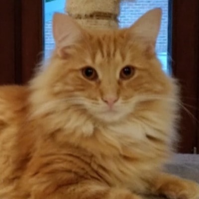 Gimli