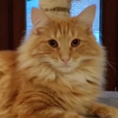 Gimli