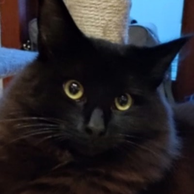 Lurrus