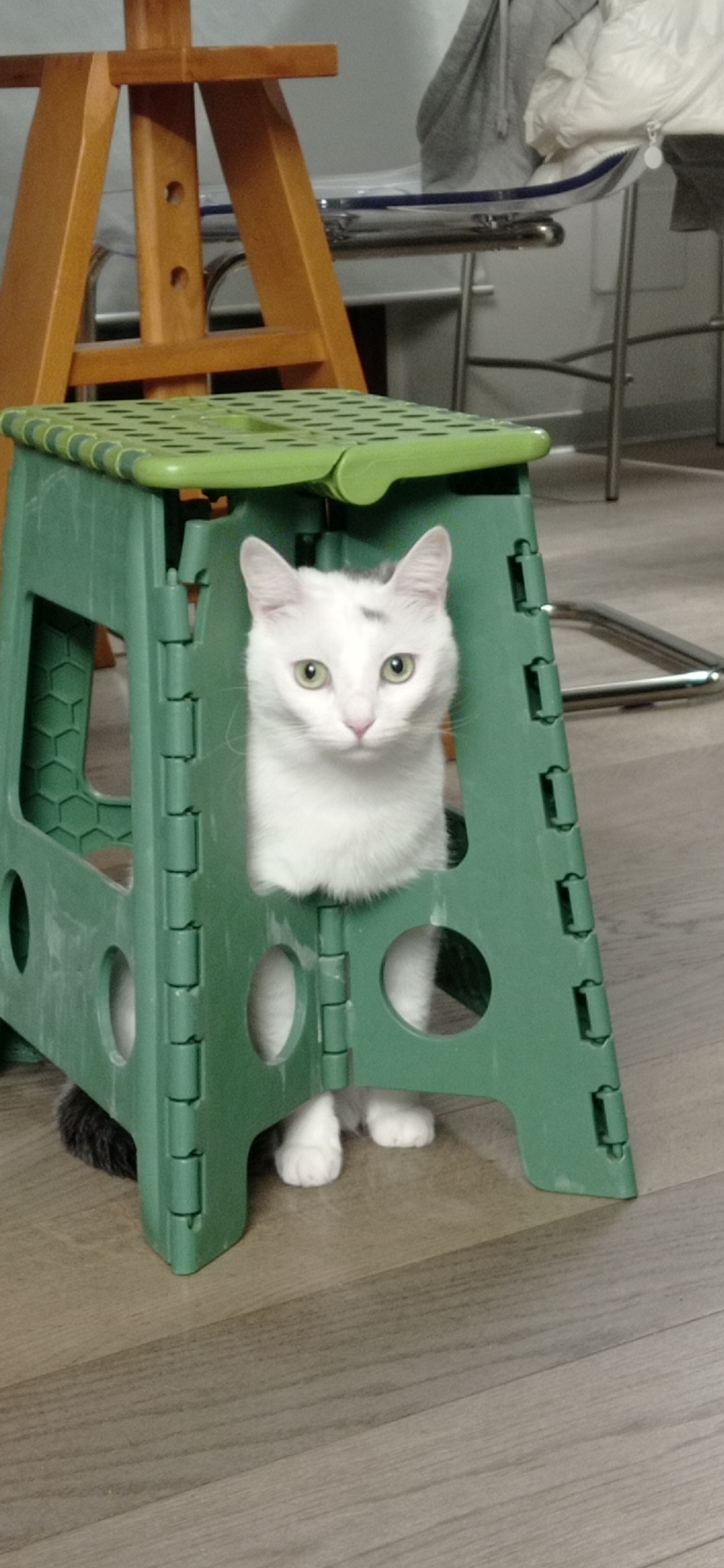 image-8