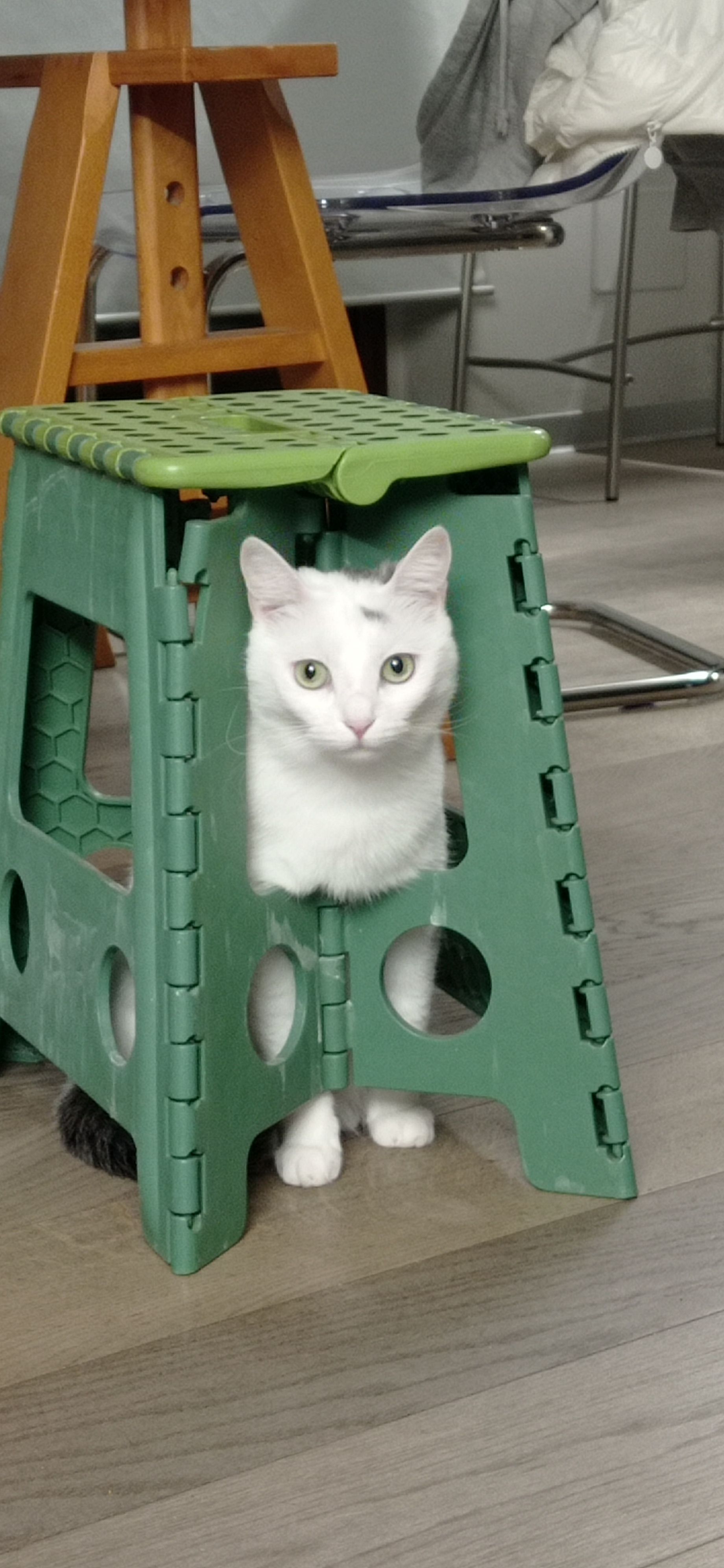 image-8