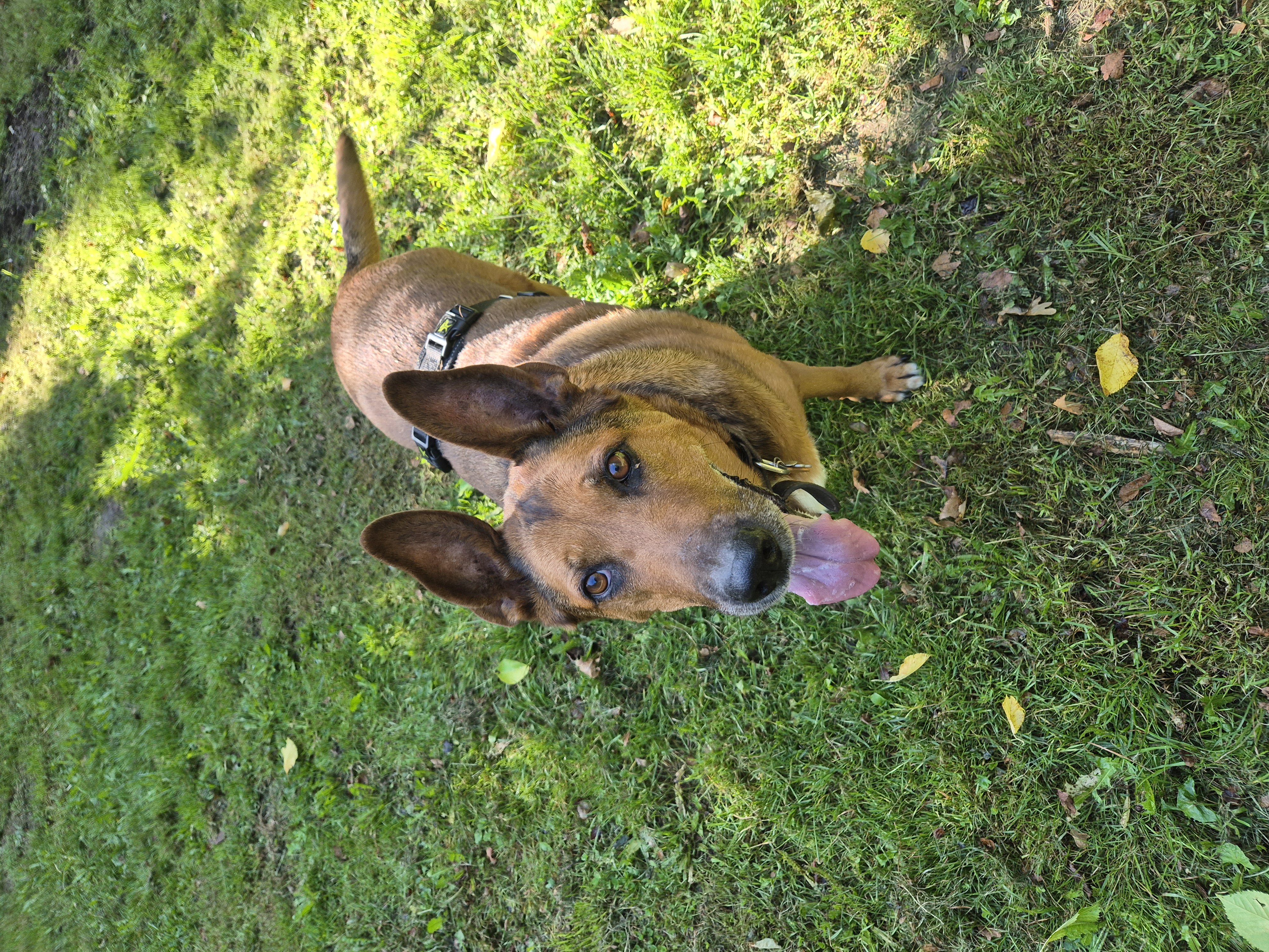 image-7