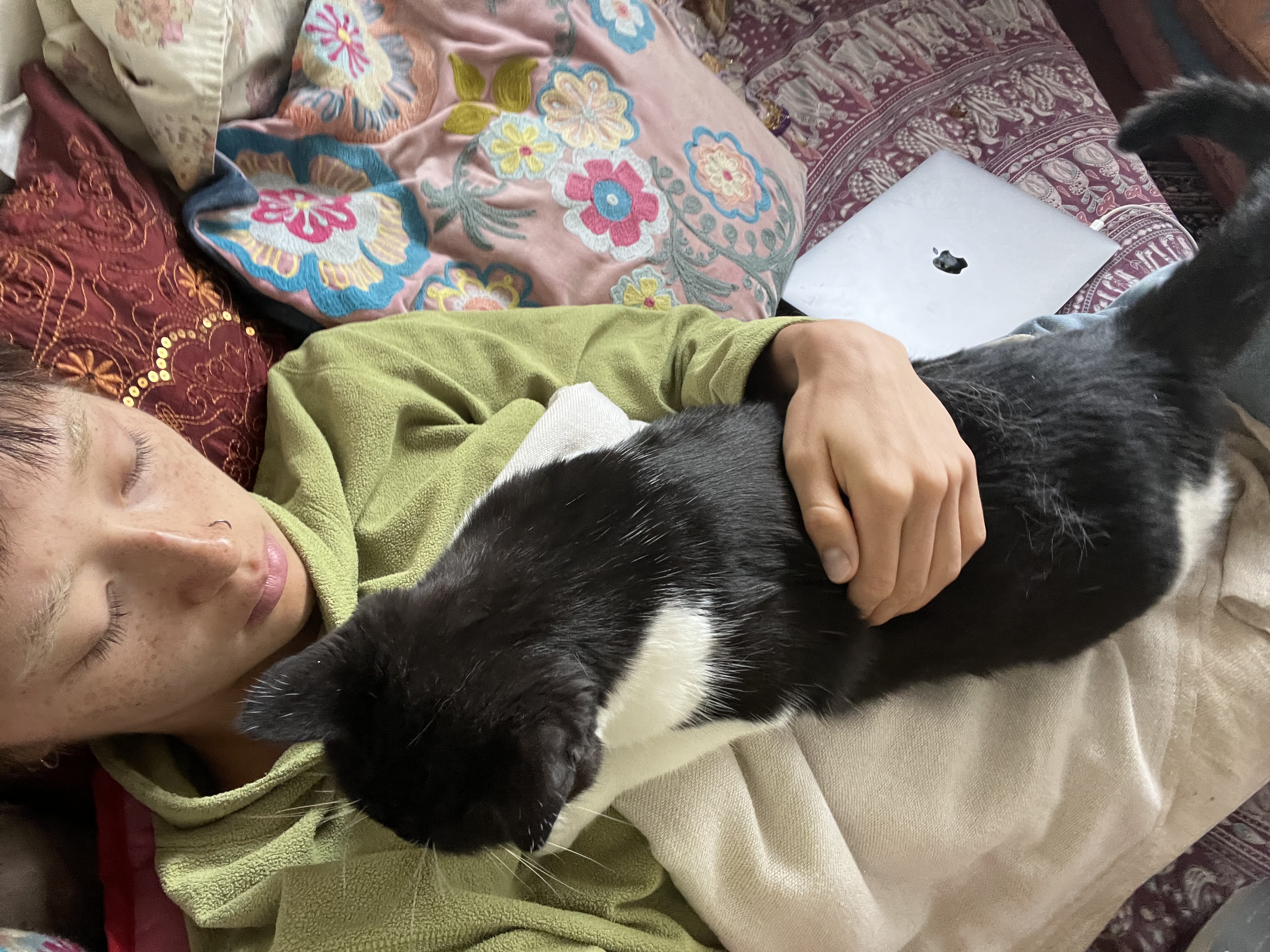 image-3