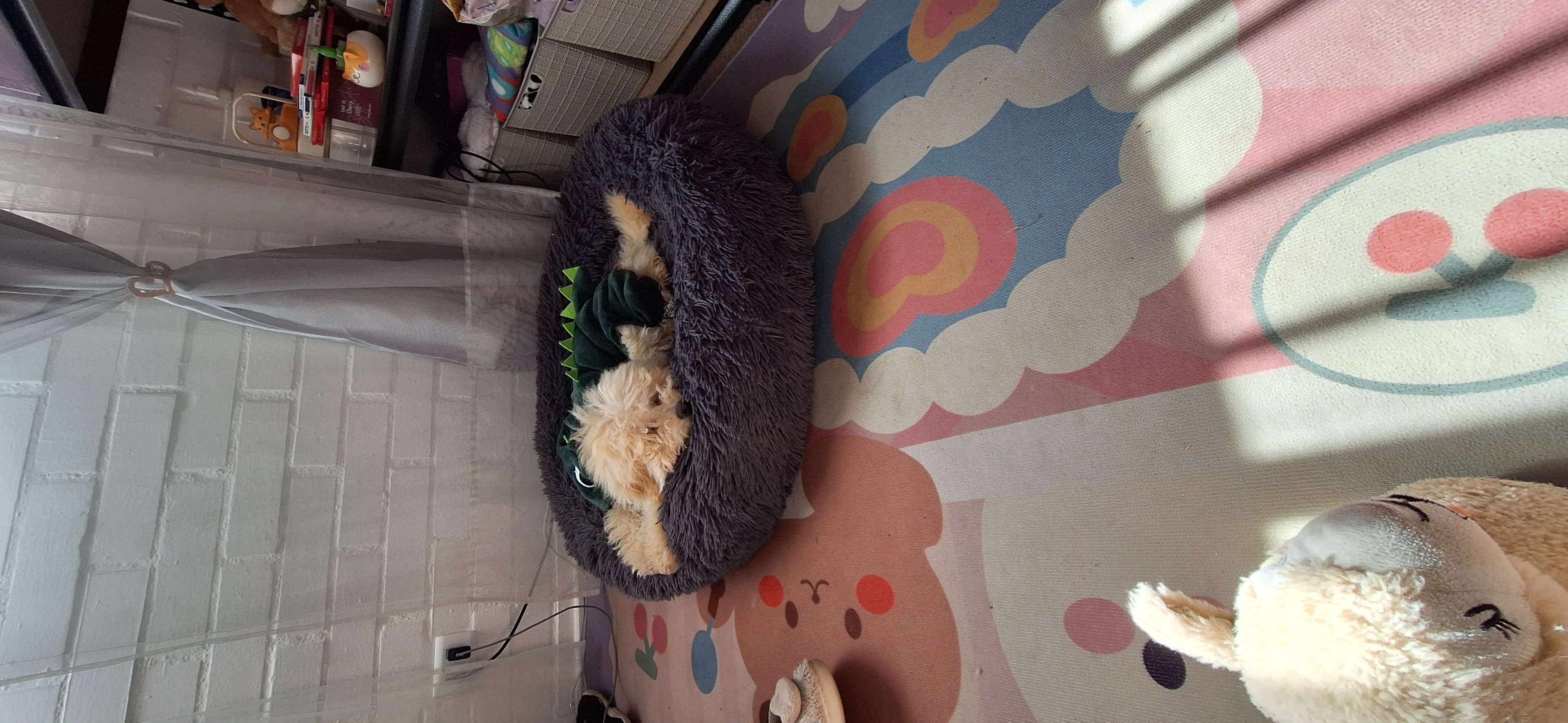 image-8