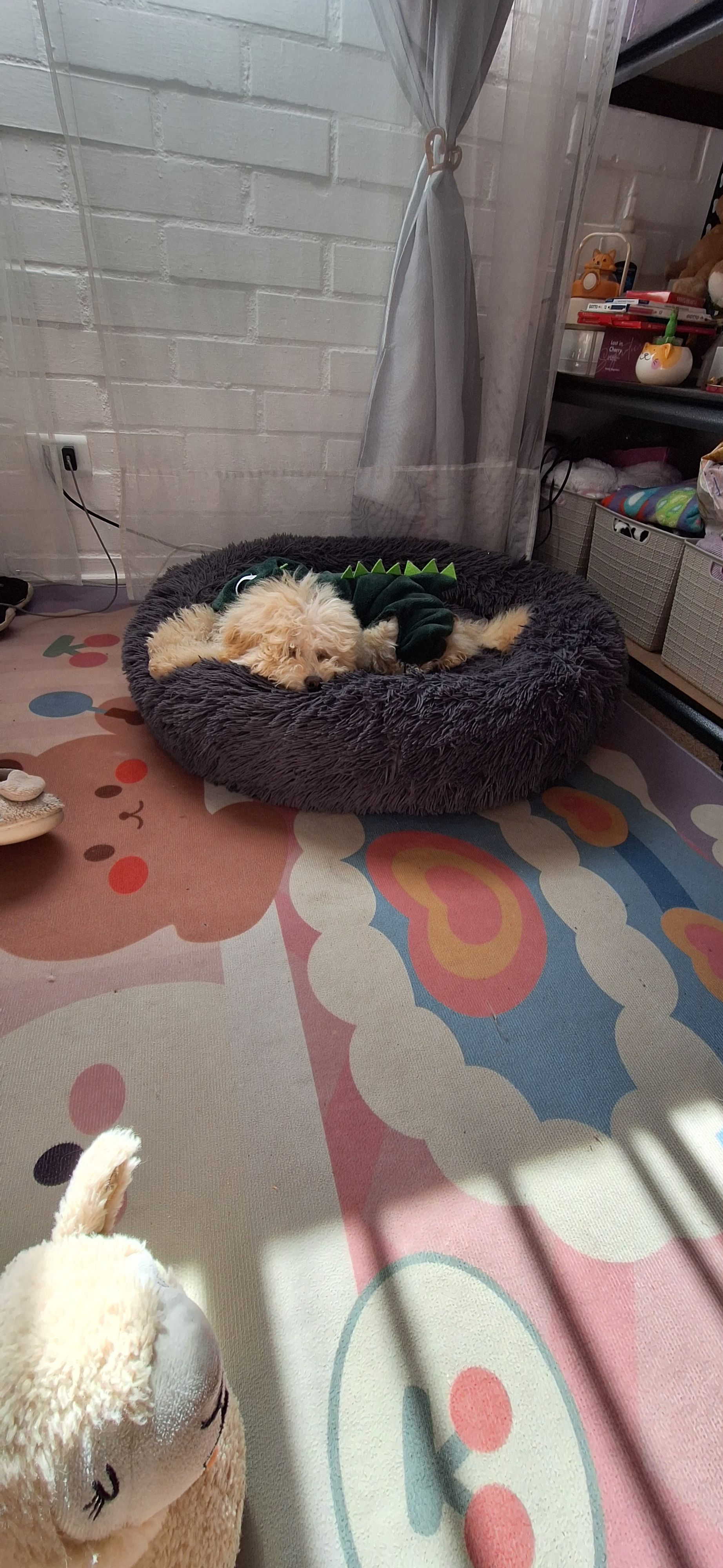 image-8