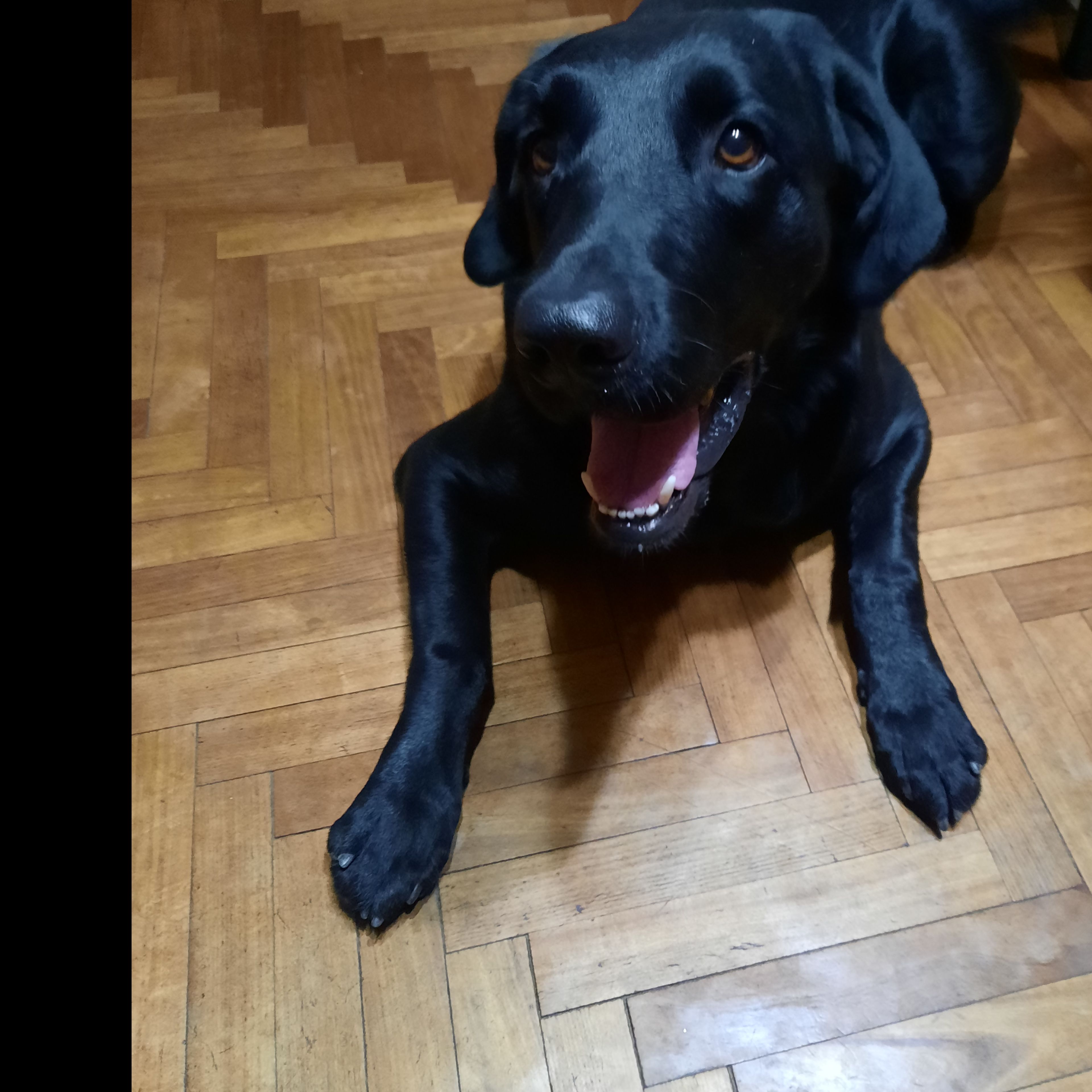 image-2