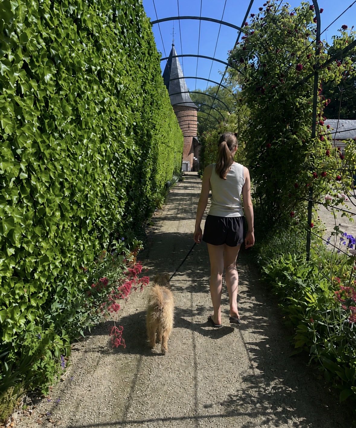 image-7