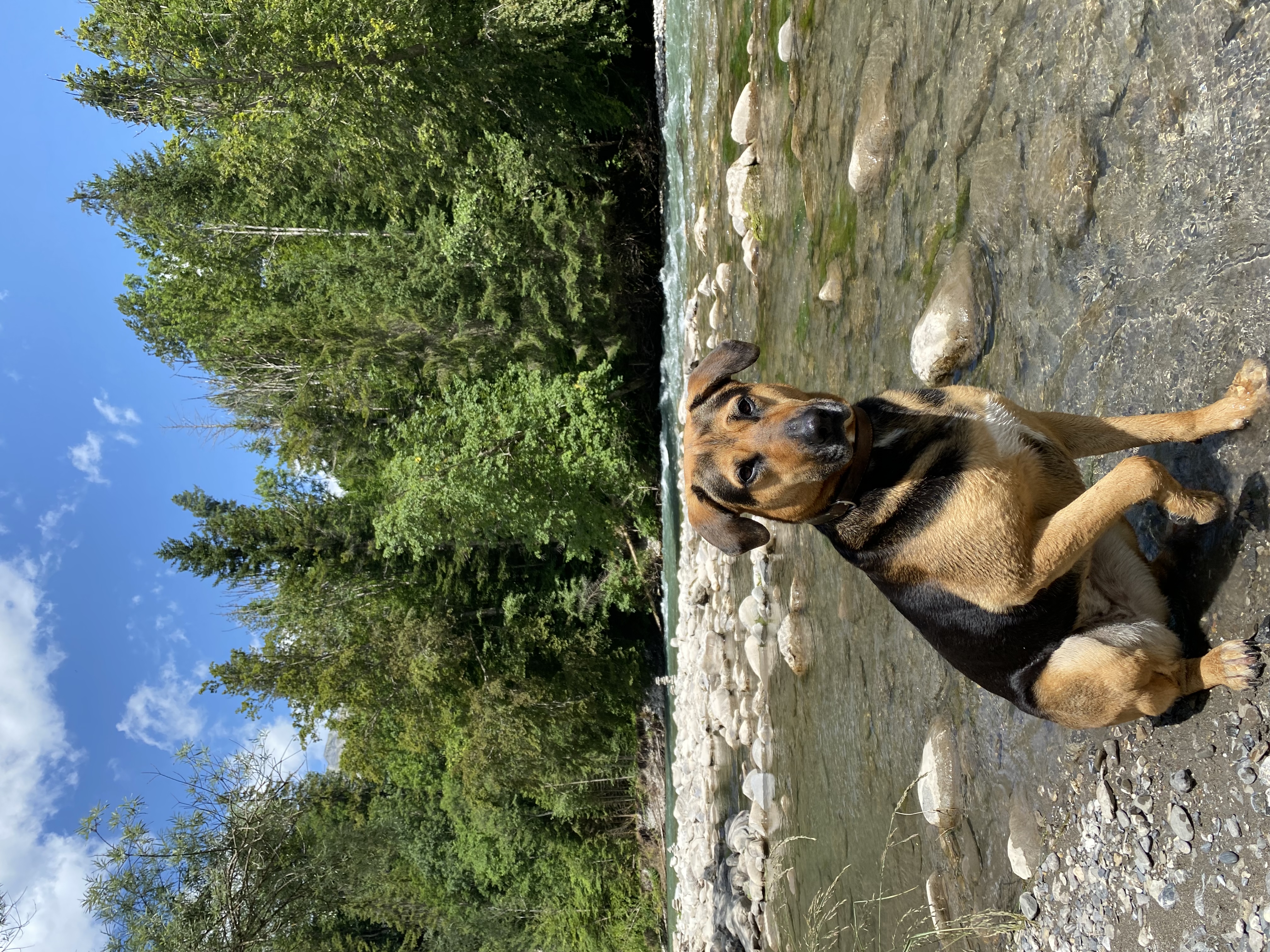 image-9
